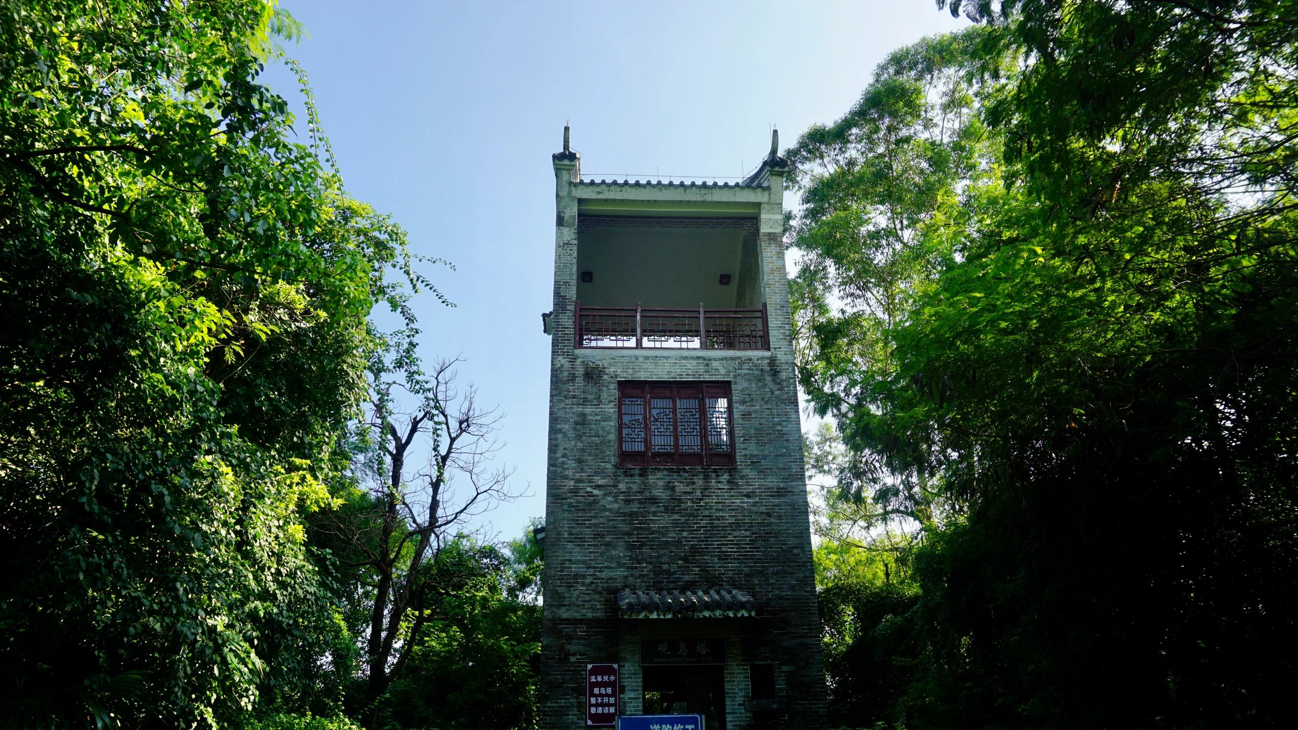 大亚湾红树林城市湿地公园旅行图片 1