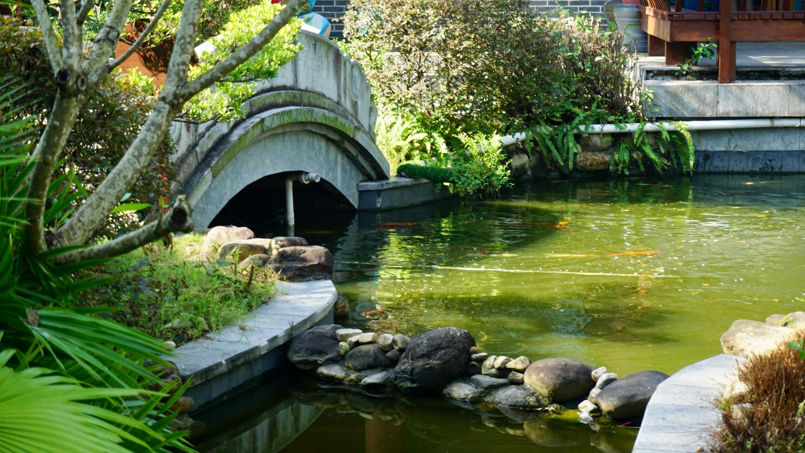 大亚湾红树林城市湿地公园旅行图片 3