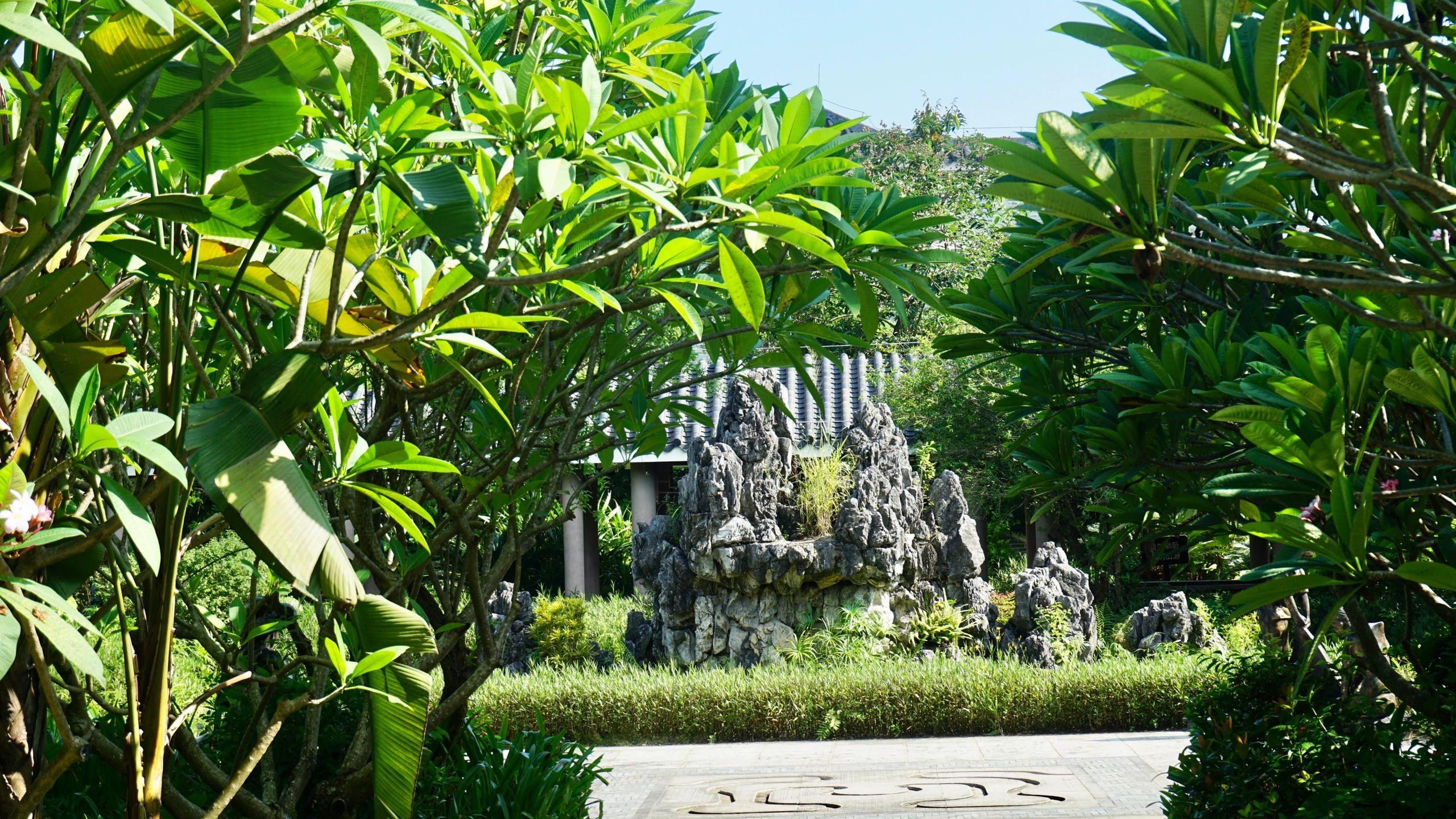 大亚湾红树林城市湿地公园旅行图片 2