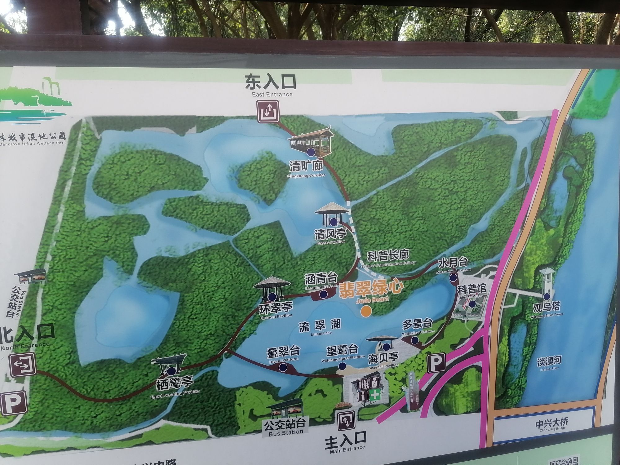 大亚湾红树林城市湿地公园旅行图片 1