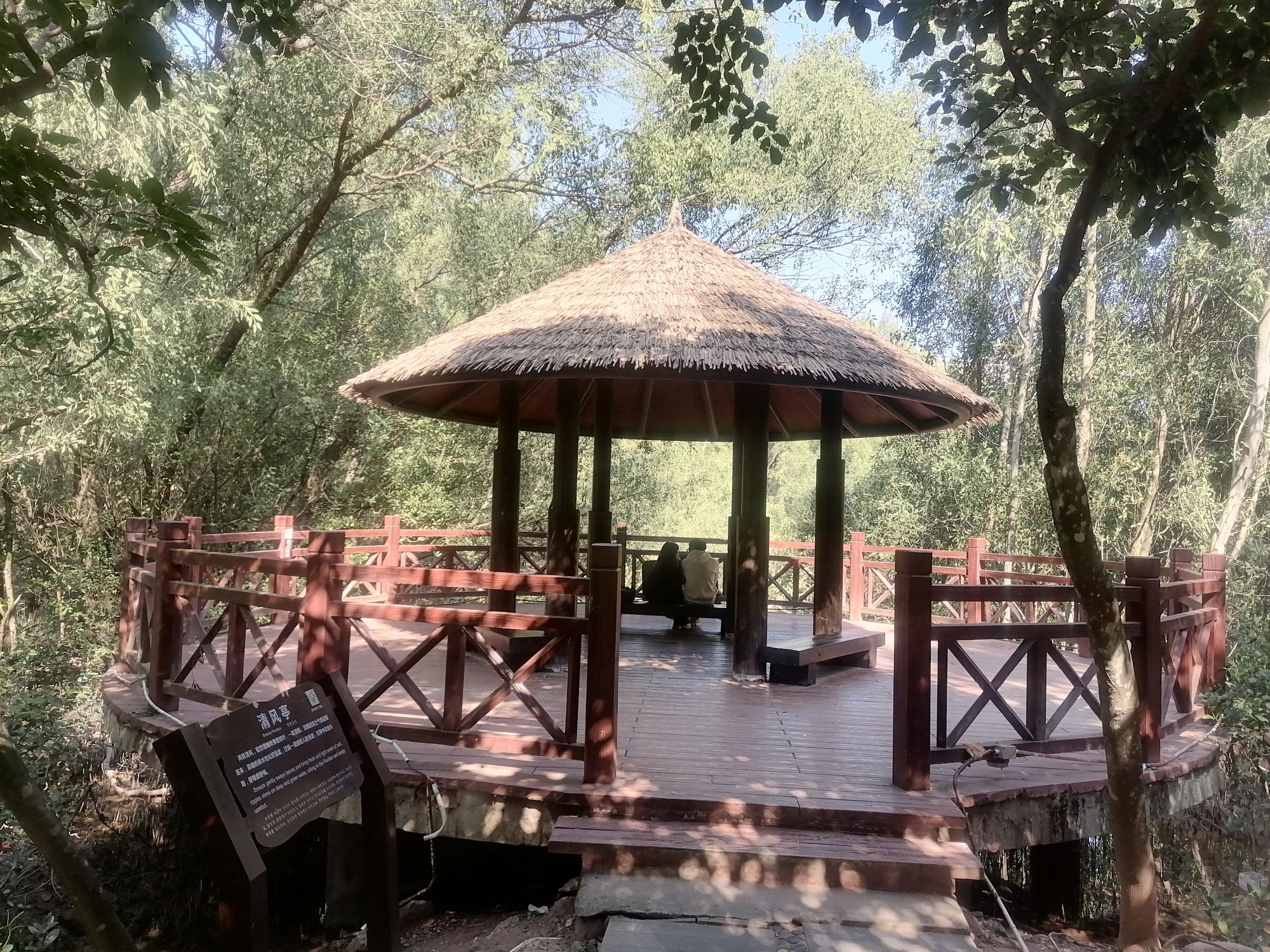 大亚湾红树林城市湿地公园旅行图片 3