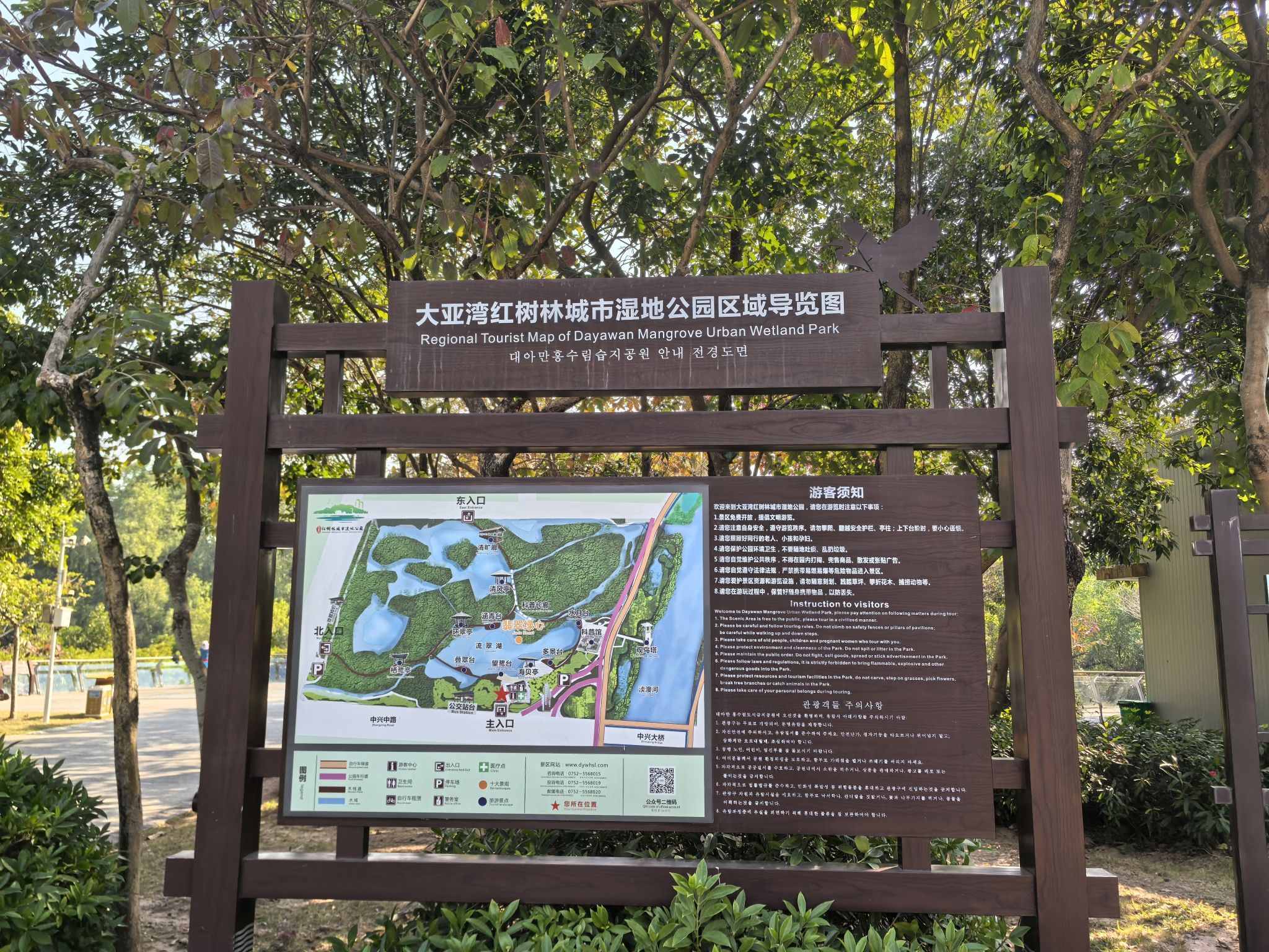 大亚湾红树林城市湿地公园旅行图片 2