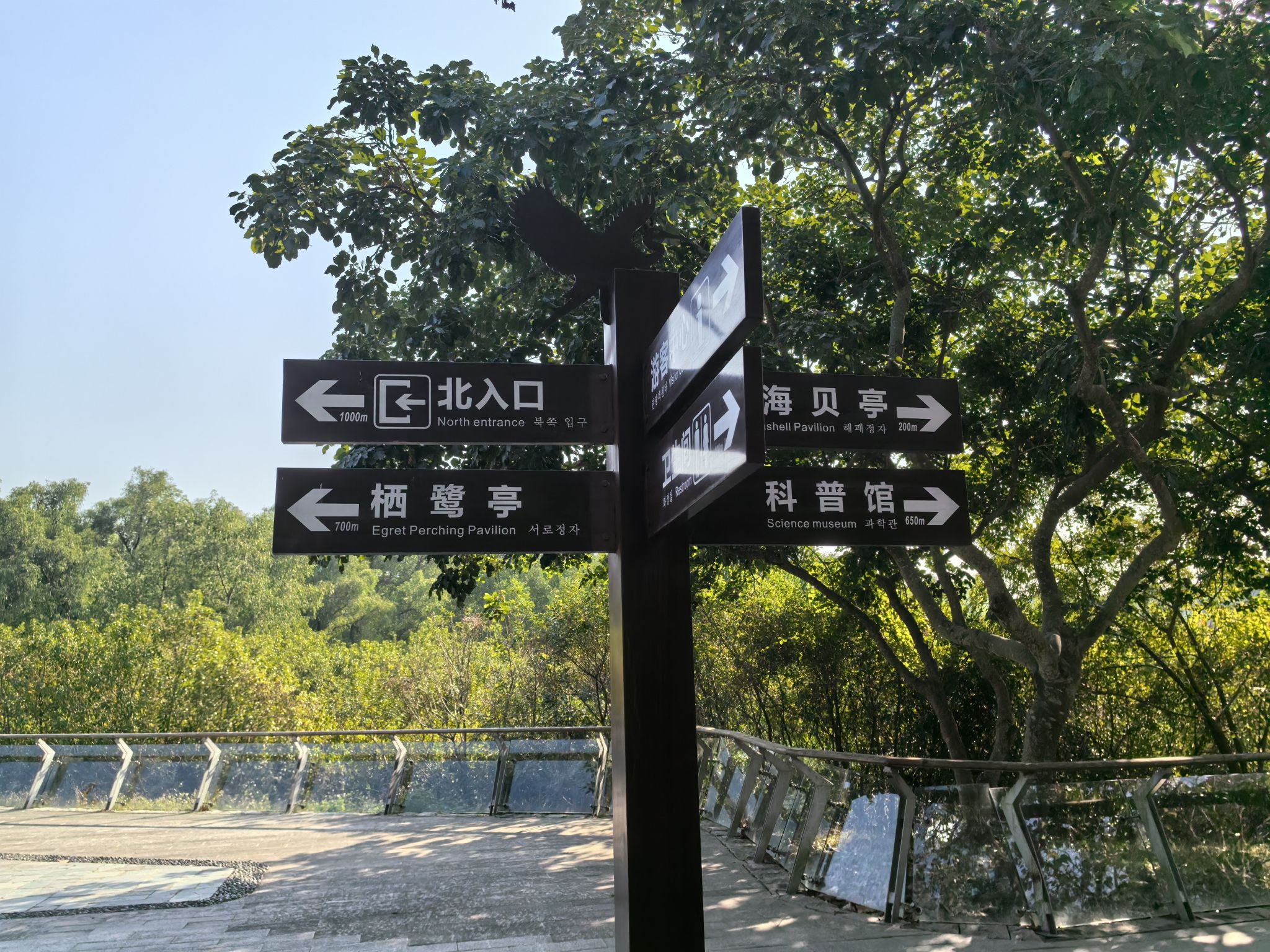 大亚湾红树林城市湿地公园旅行图片 3