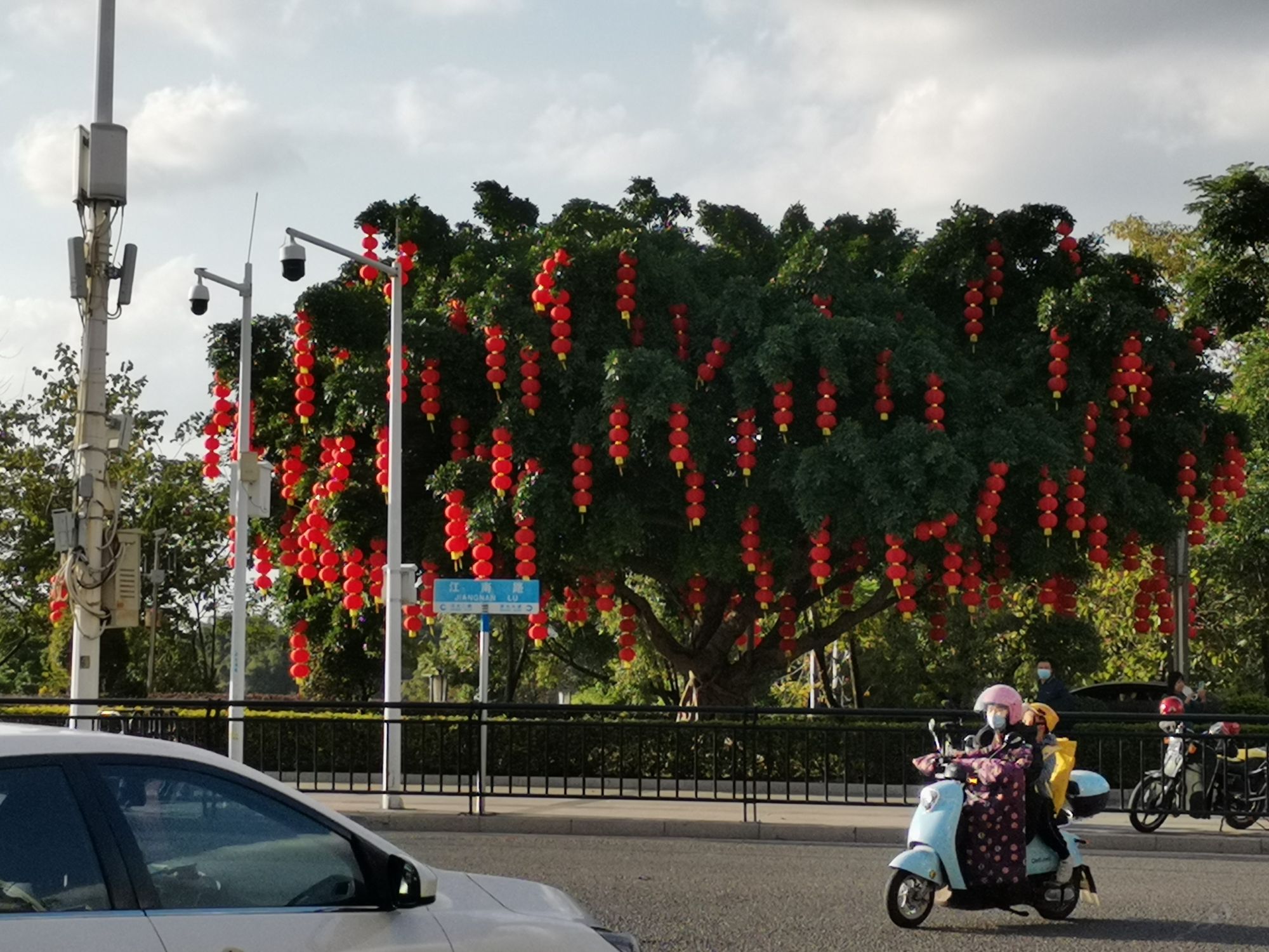 西枝江公园旅行图片 3