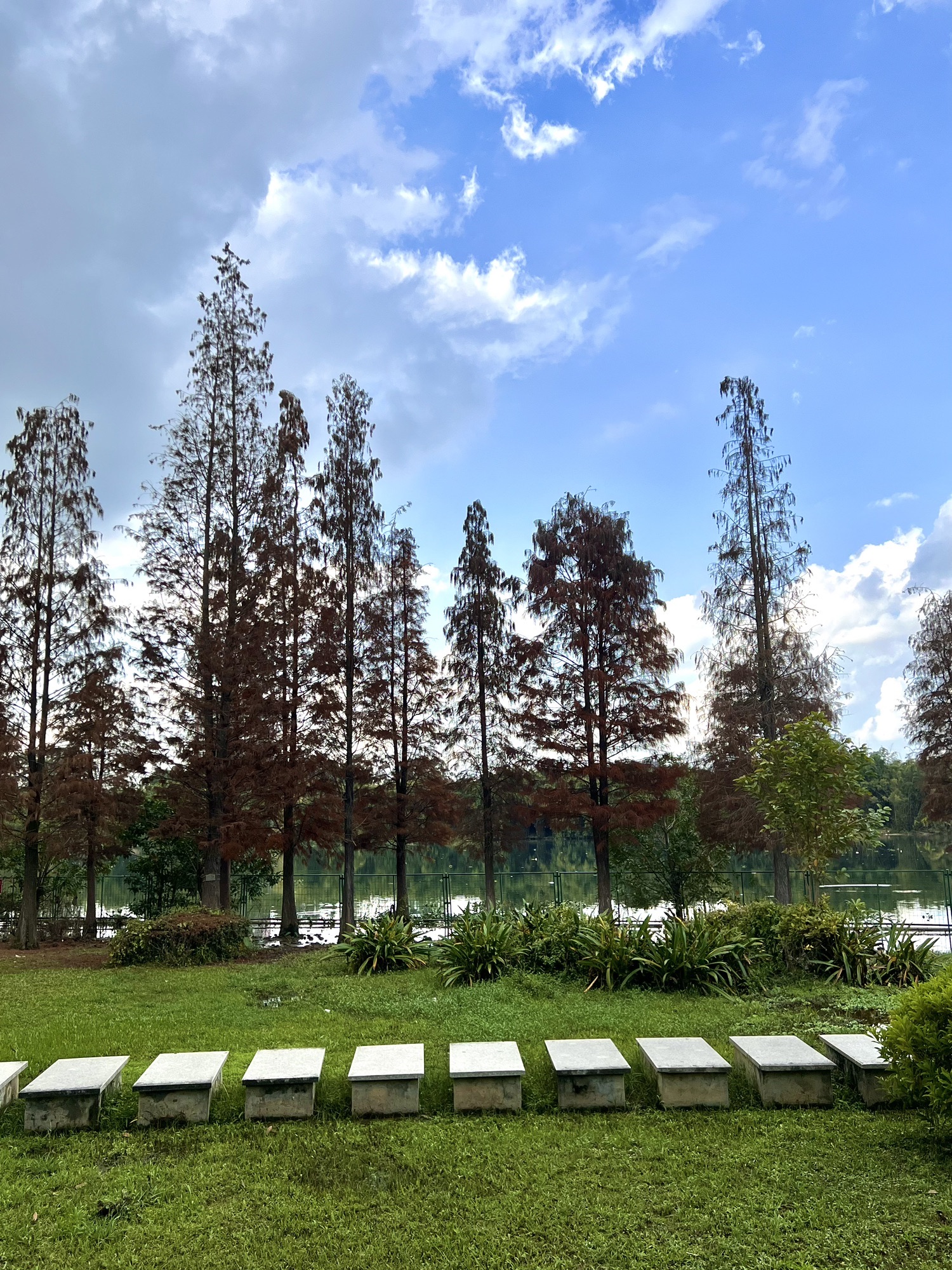 西枝江公园旅行图片 1