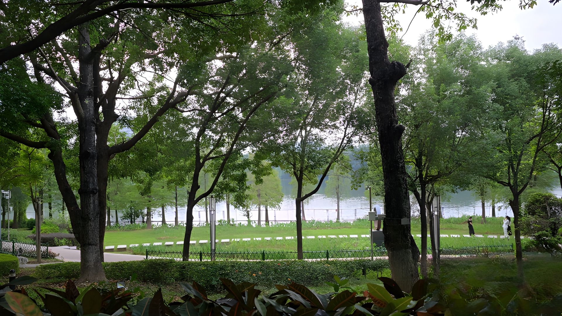 西枝江公园旅行图片 3