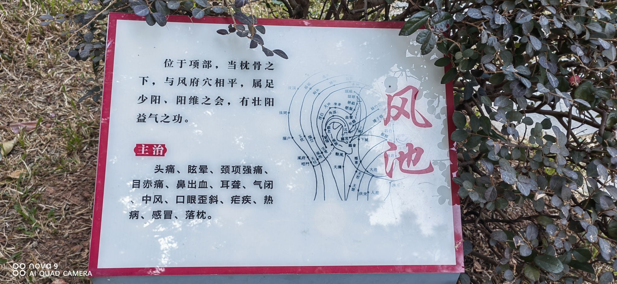 人民公园旅行图片 2