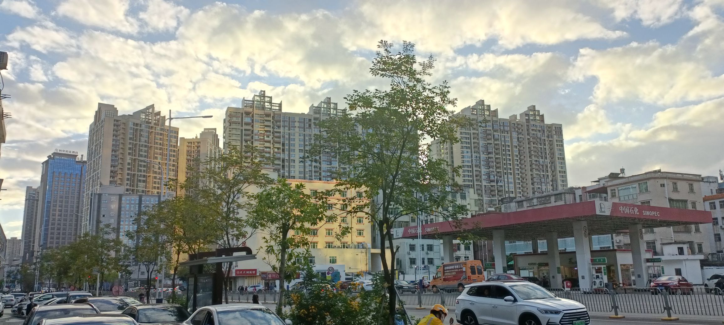 人民公园旅行图片 3