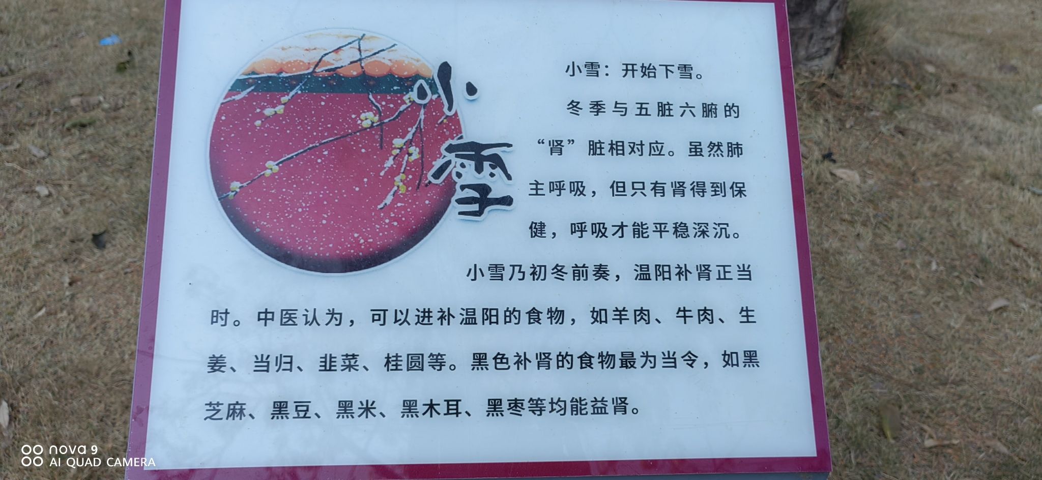 人民公园旅行图片 3
