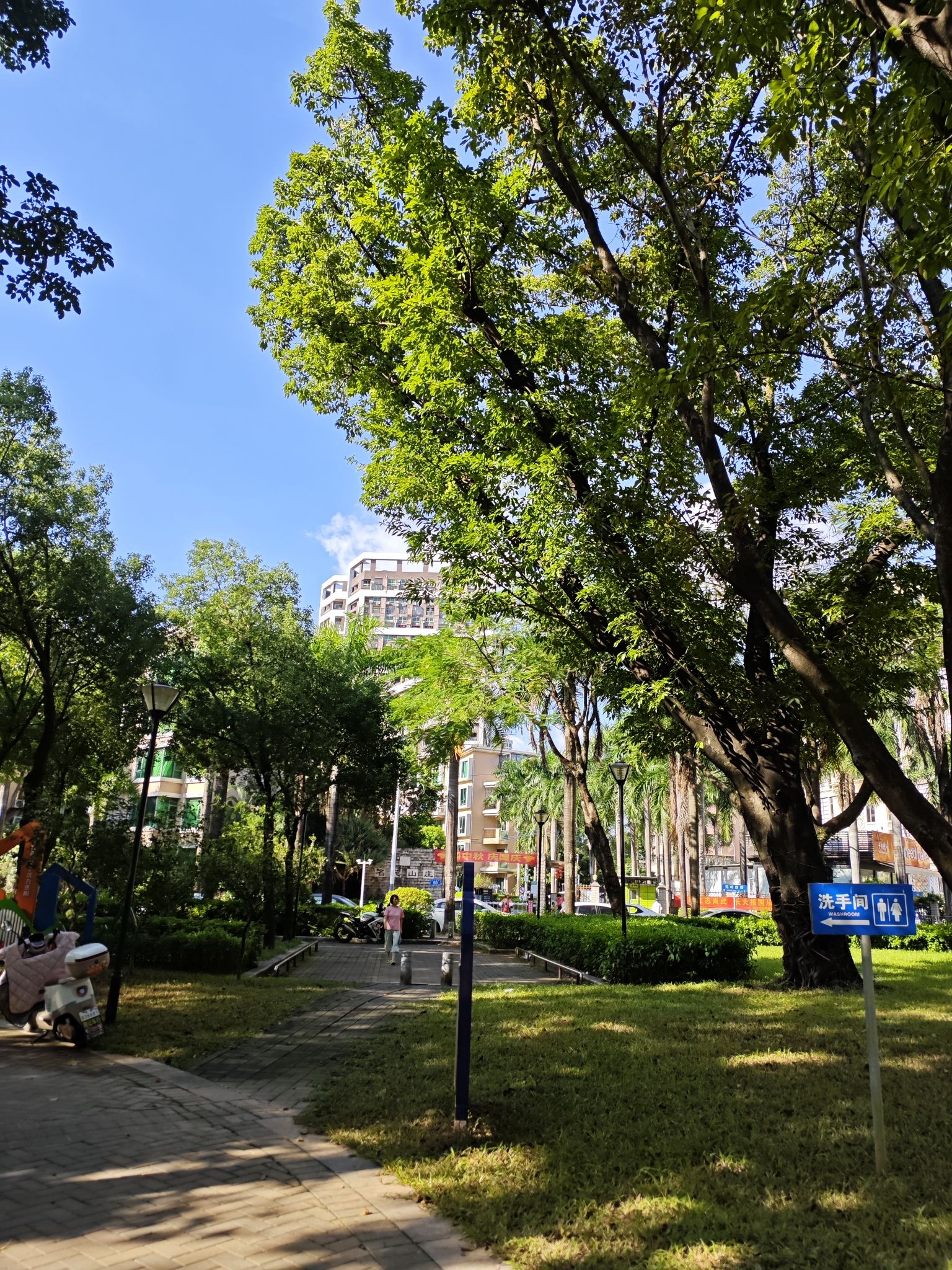 人民公园旅行图片 2
