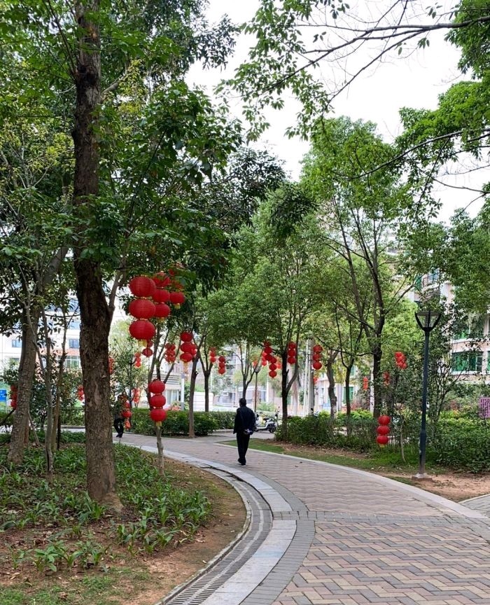 人民公园旅行图片 3