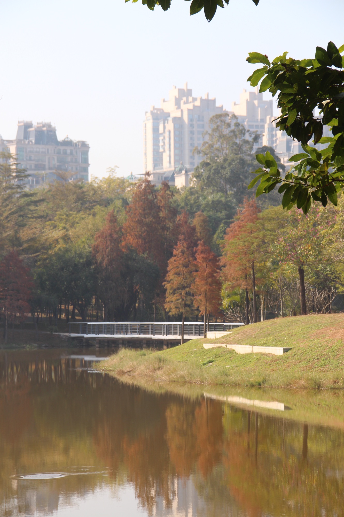 北湖公园旅行图片 3