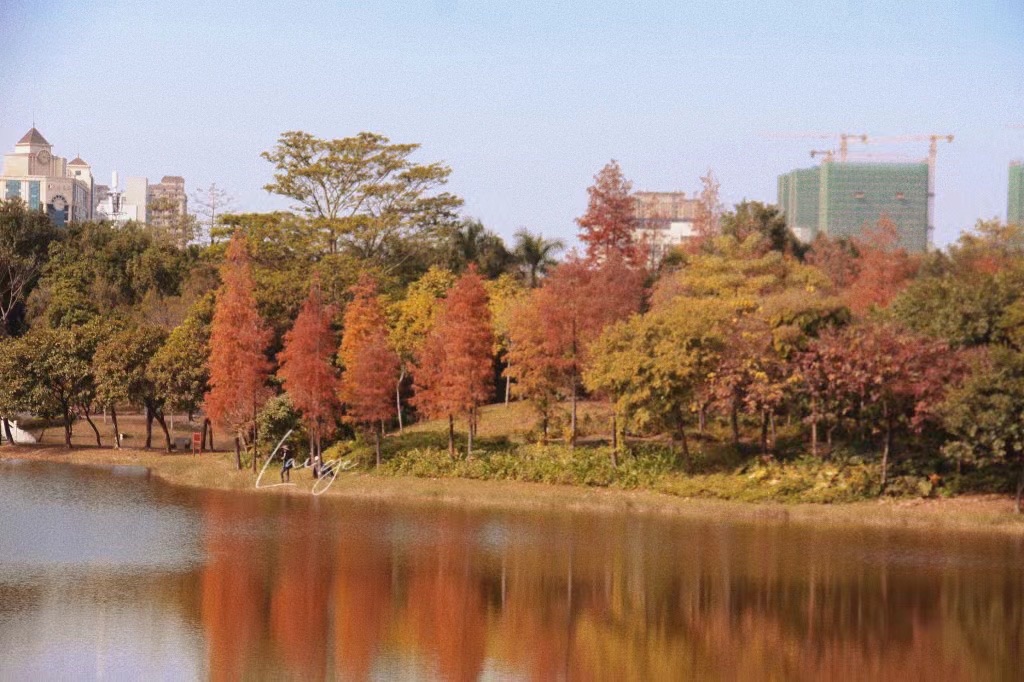 北湖公园旅行图片 1