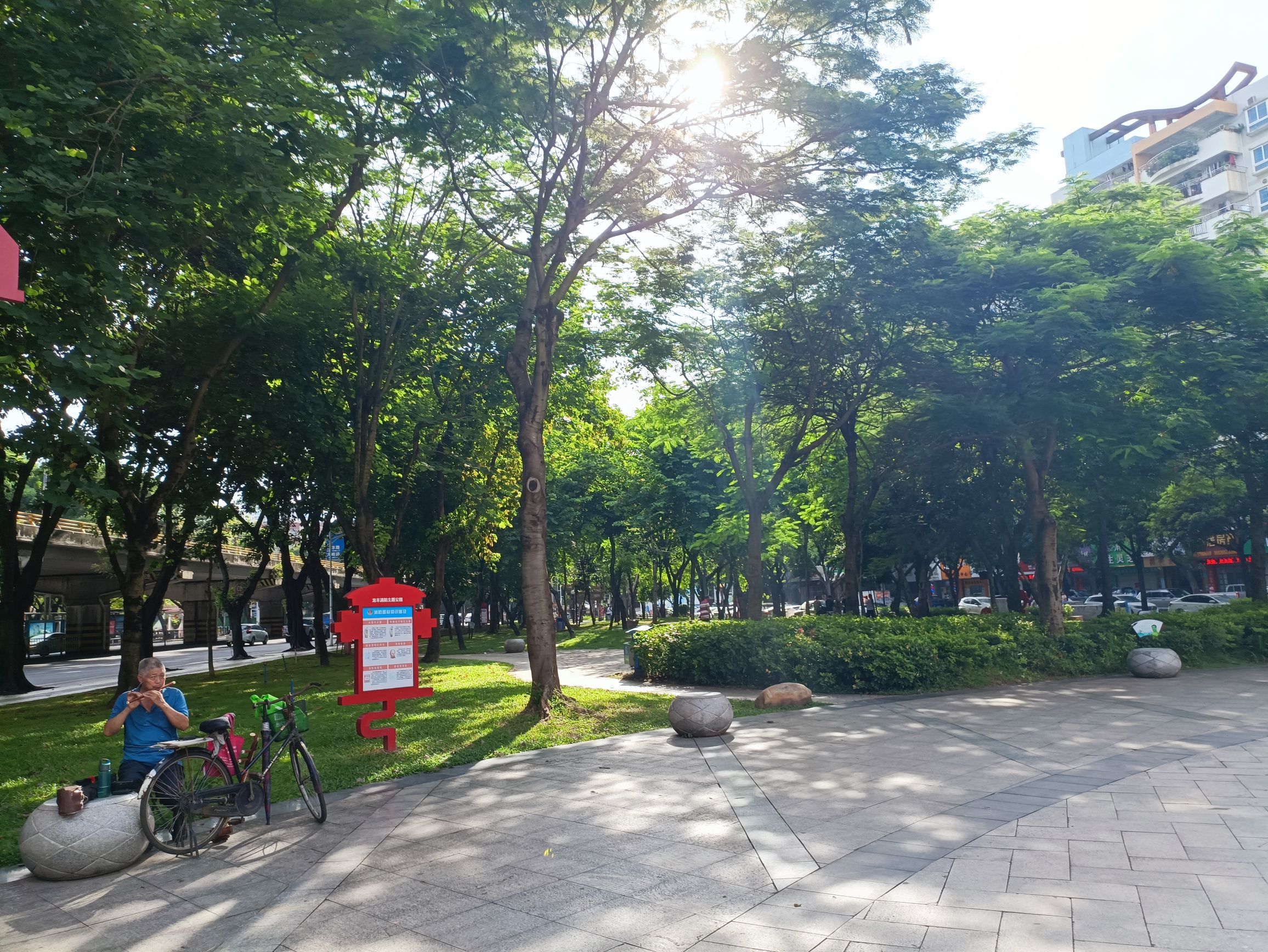 龙丰公园旅行图片 2