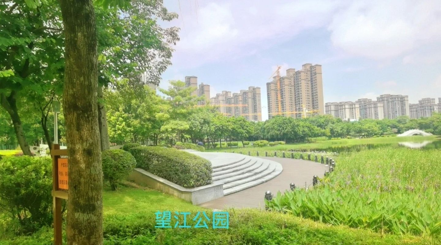 望江公园旅行图片 1