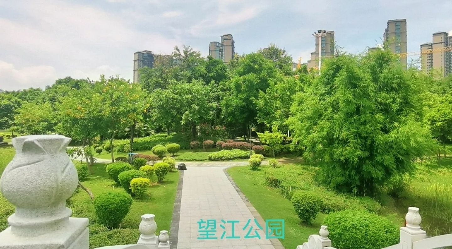 望江公园旅行图片 2