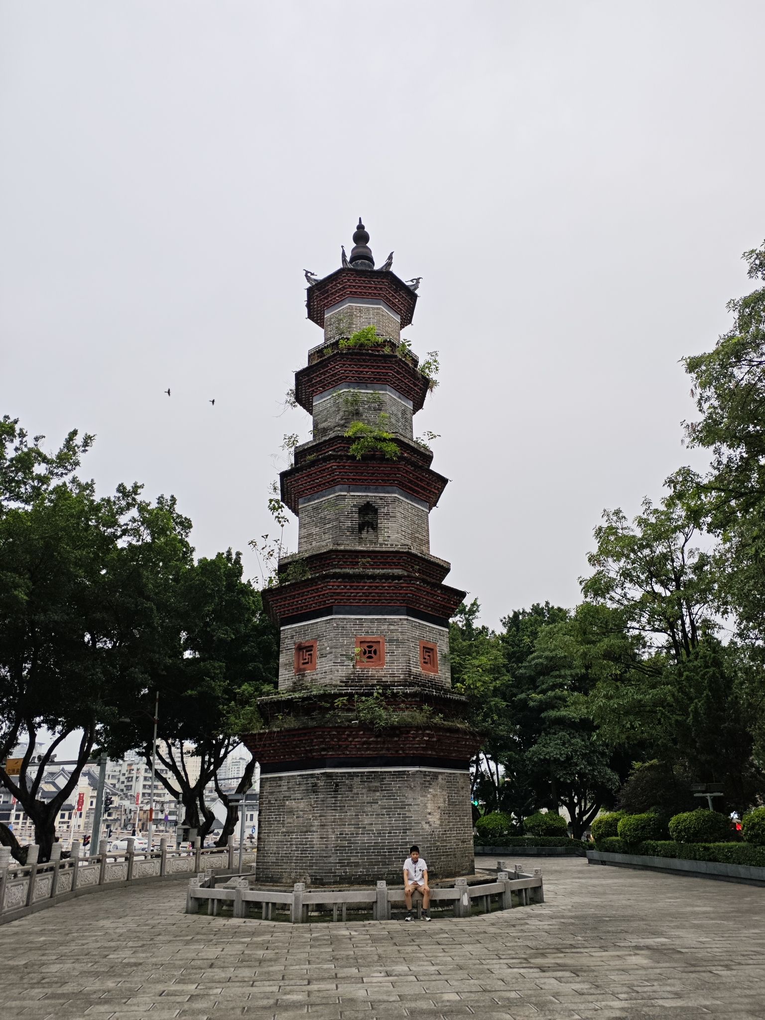 文笔塔旅行图片 3