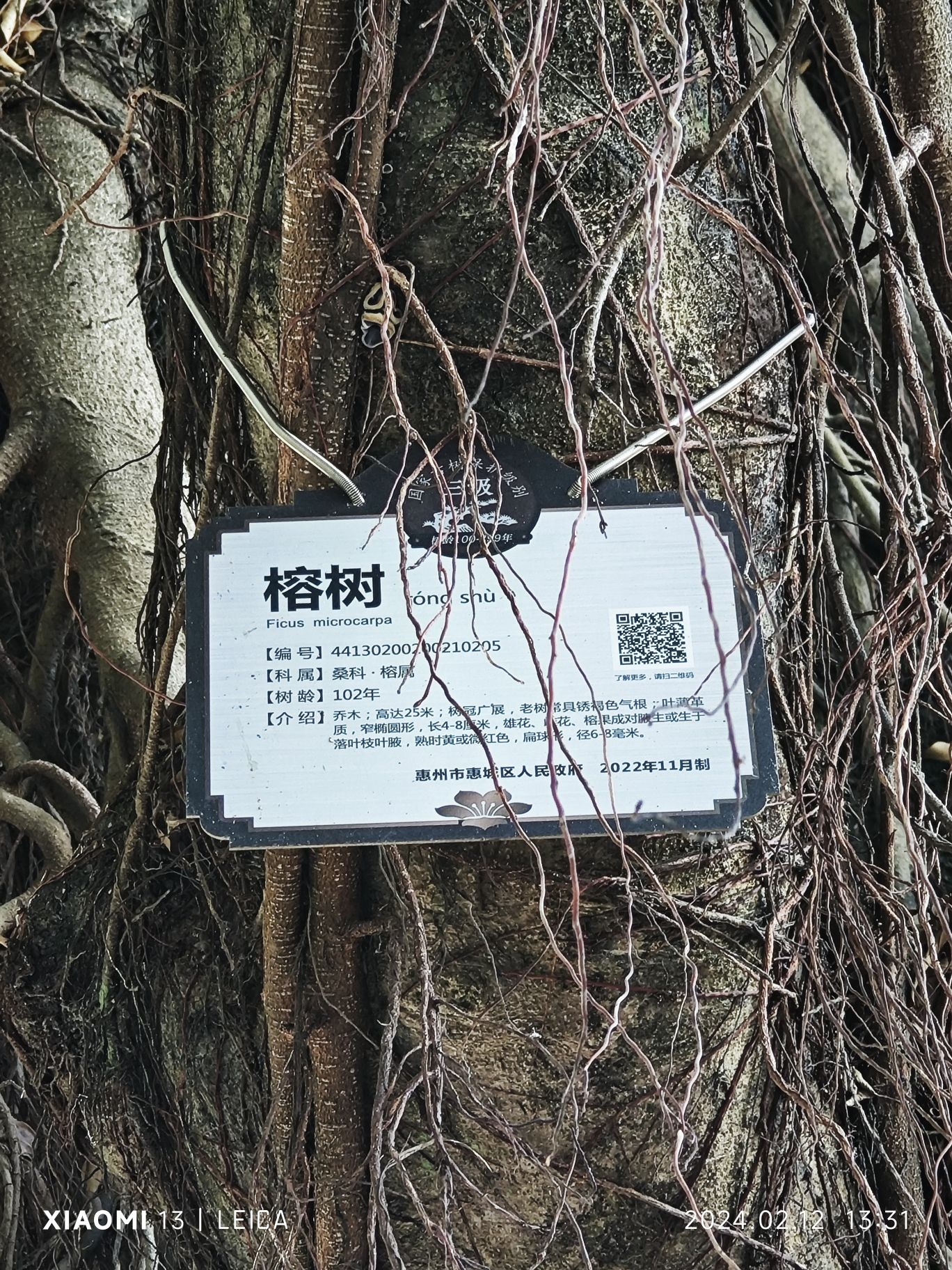 文笔塔旅行图片 3