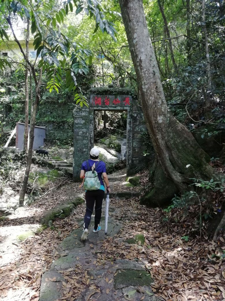 茶山观旅行图片 1