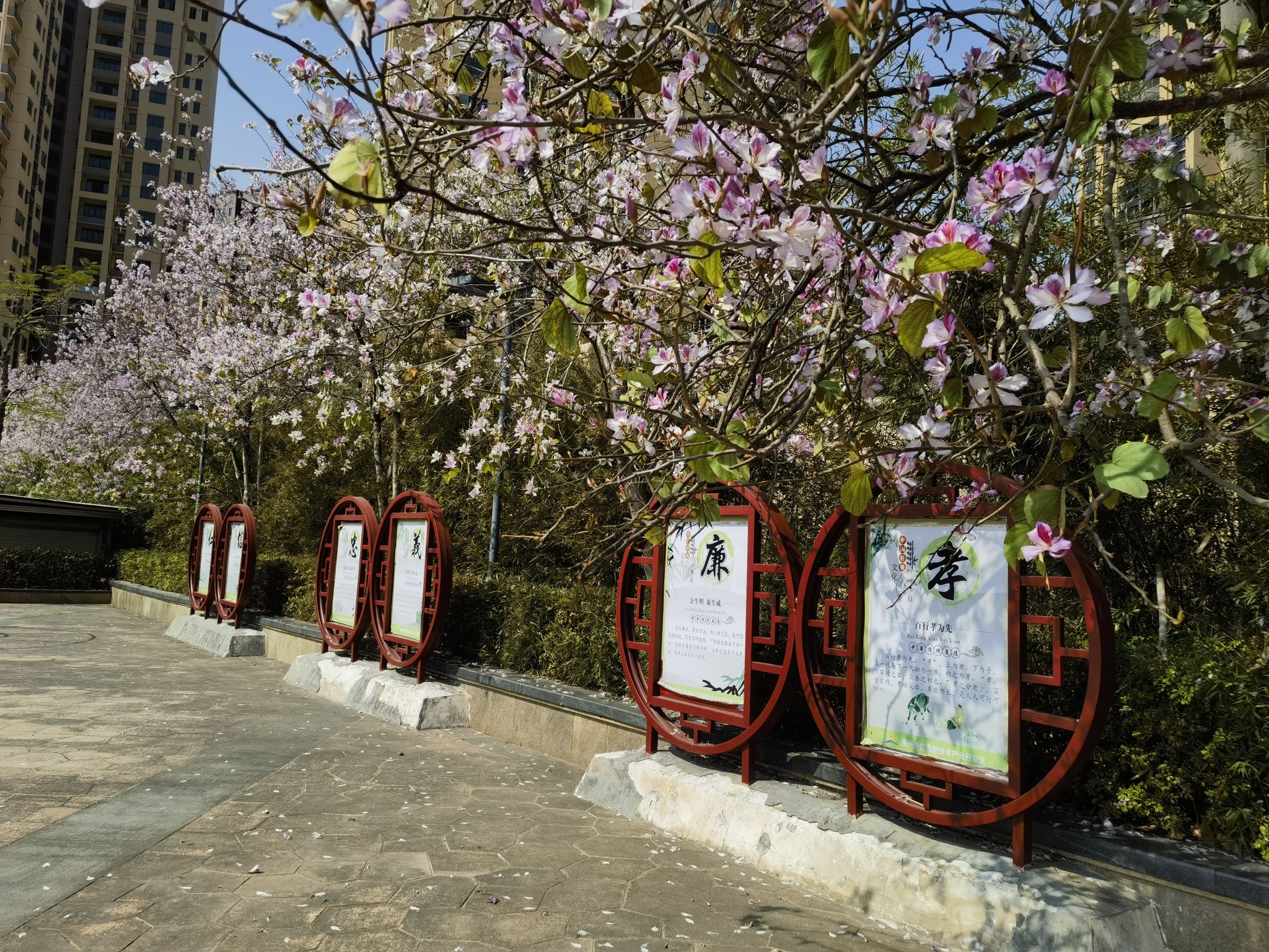 仲恺公园旅行图片 1
