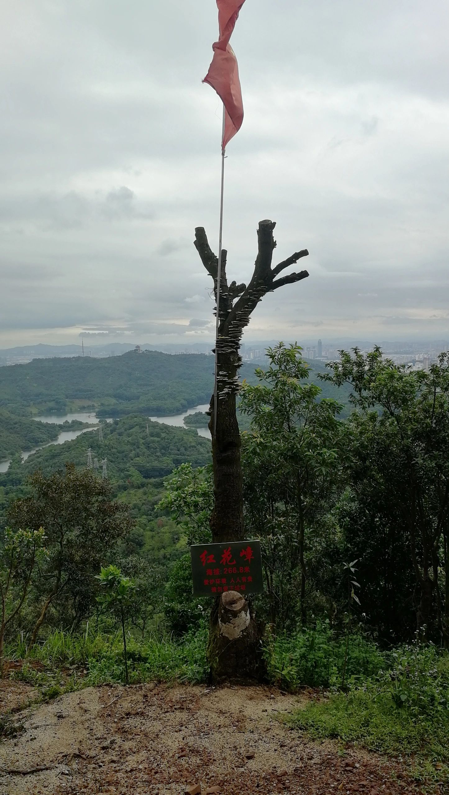 仲恺公园旅行图片 2
