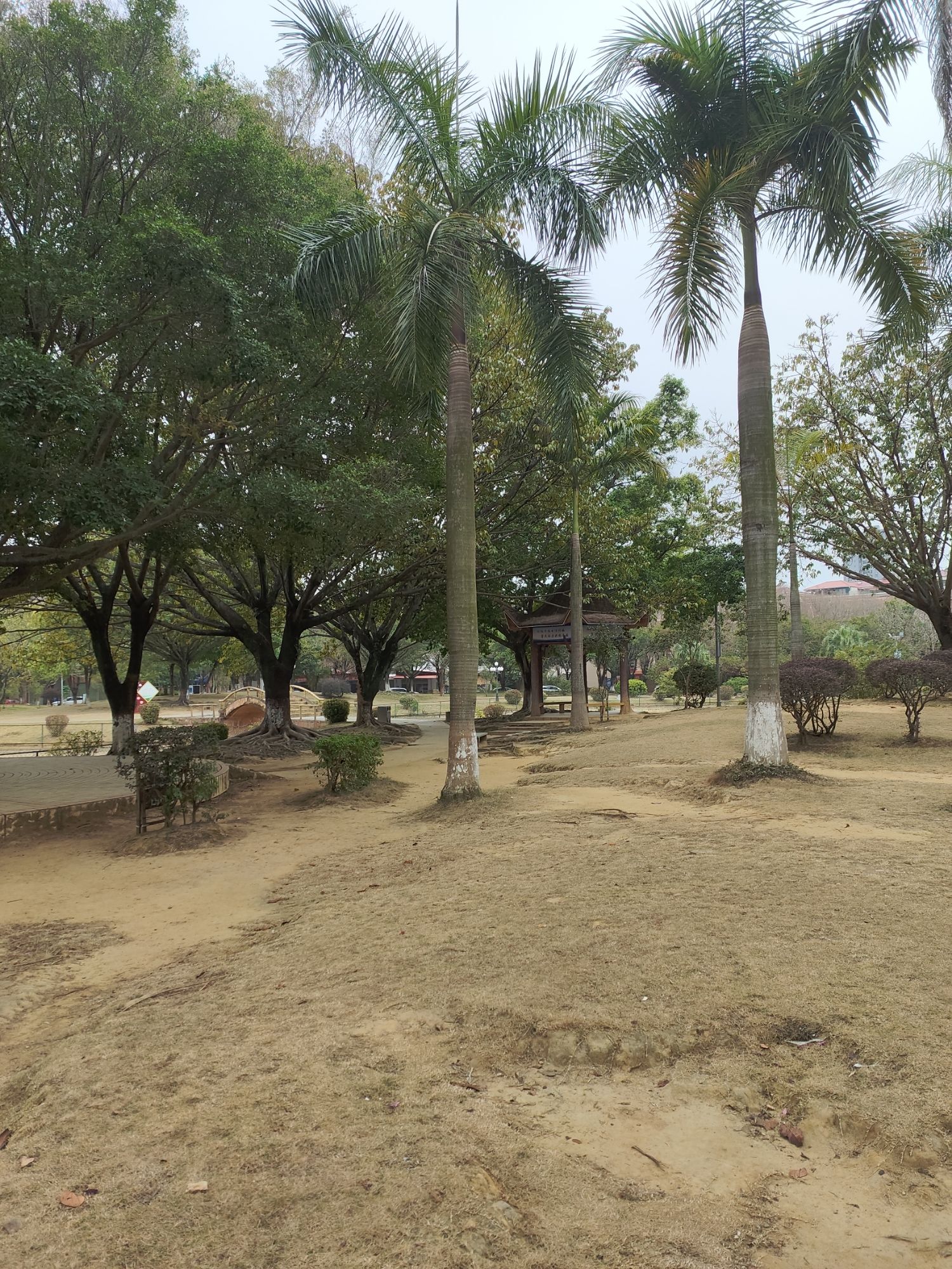 锡林公园旅行图片 3