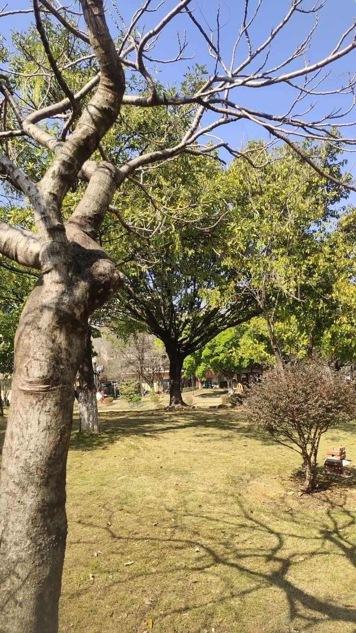 锡林公园旅行图片 3