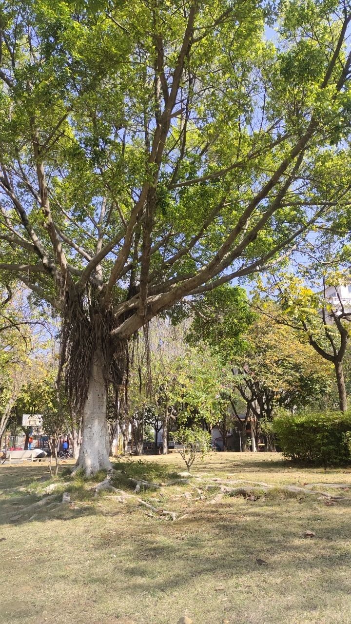 锡林公园旅行图片 1
