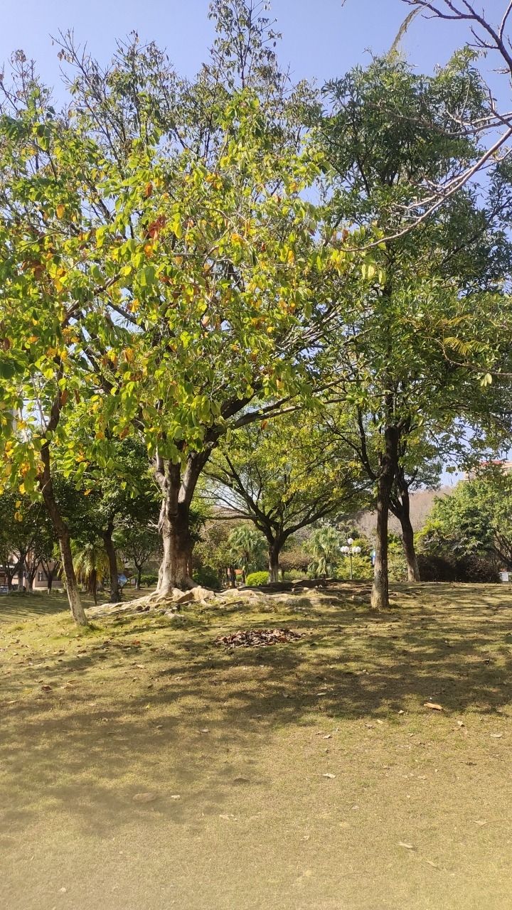 锡林公园旅行图片 2