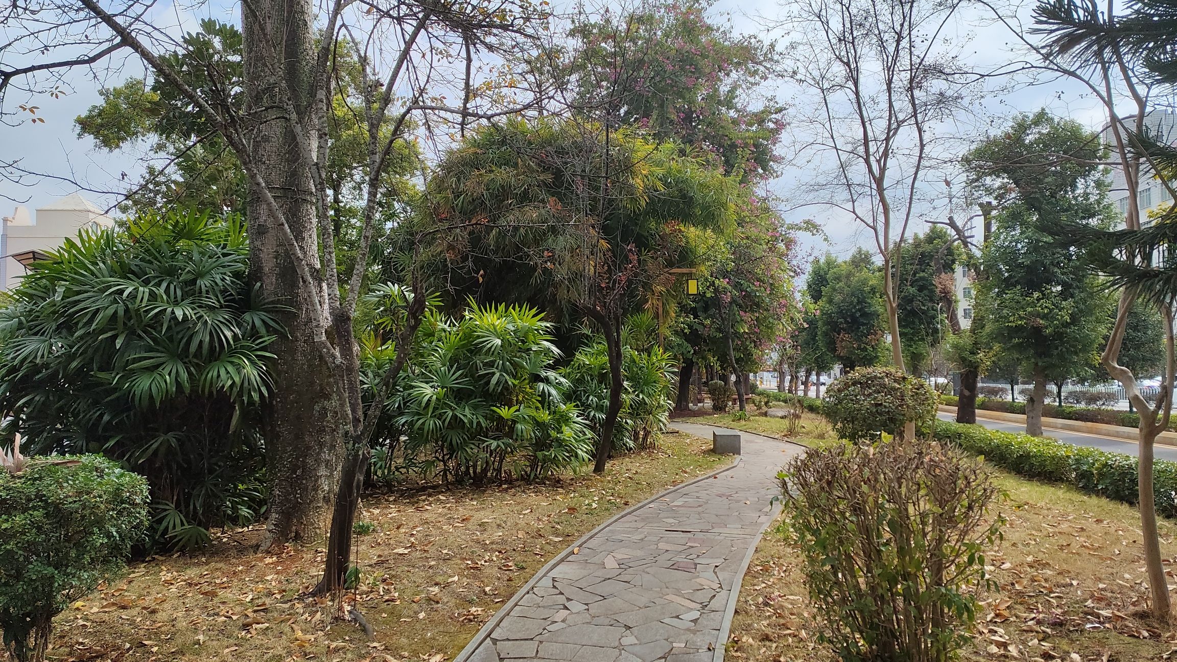 河滨公园旅行图片 1
