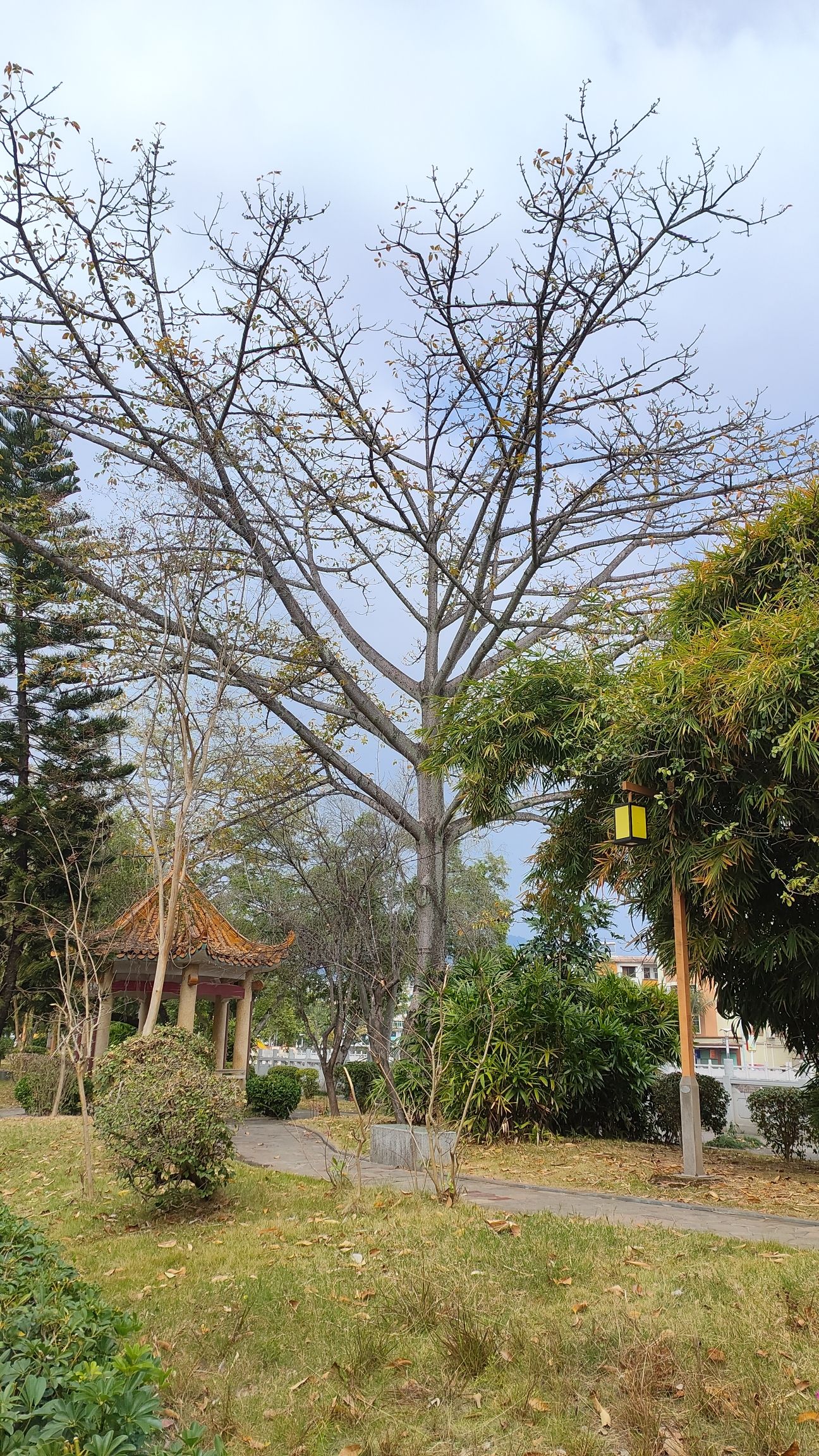 河滨公园旅行图片 3