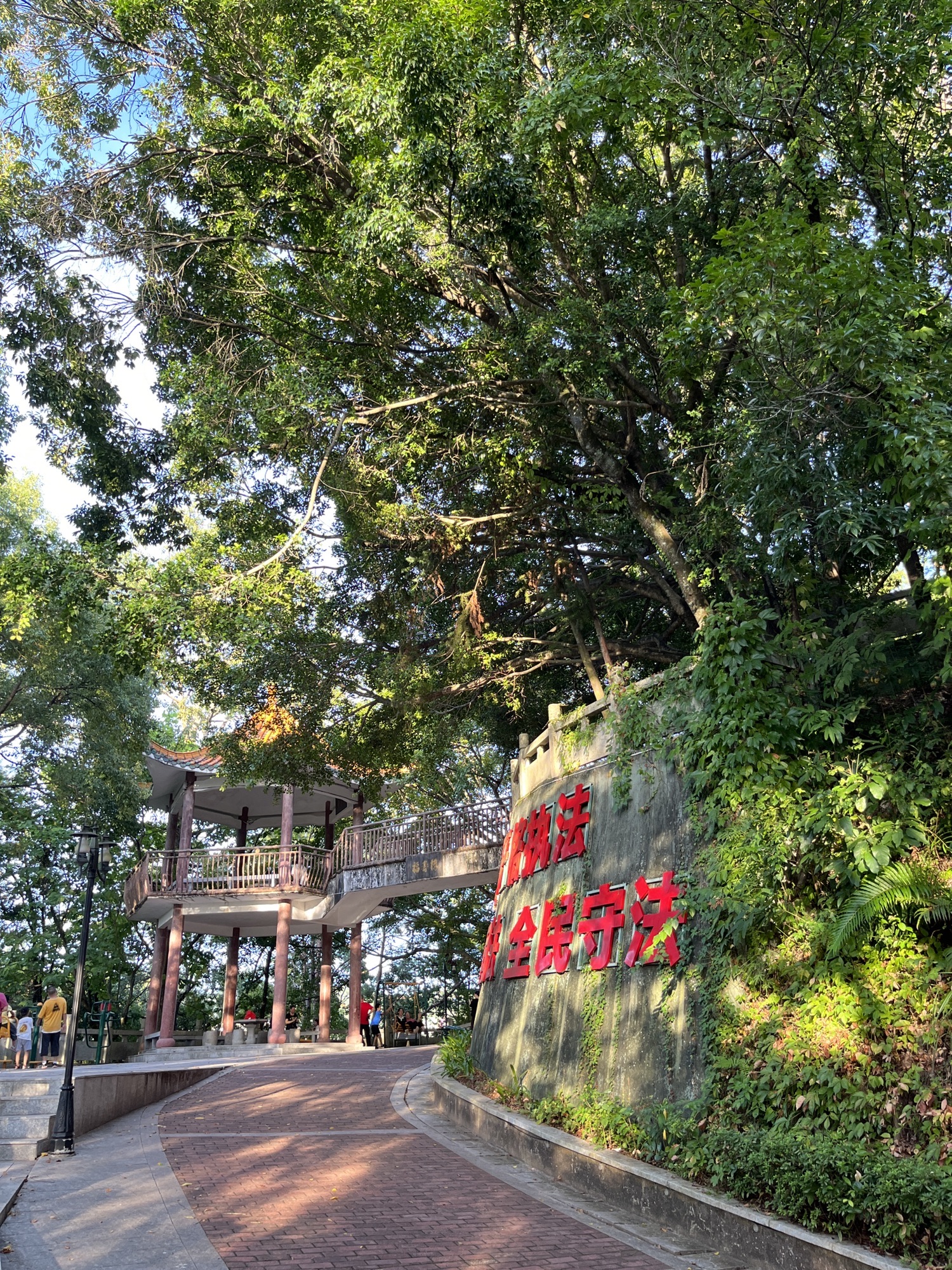虎山公园旅行图片 3