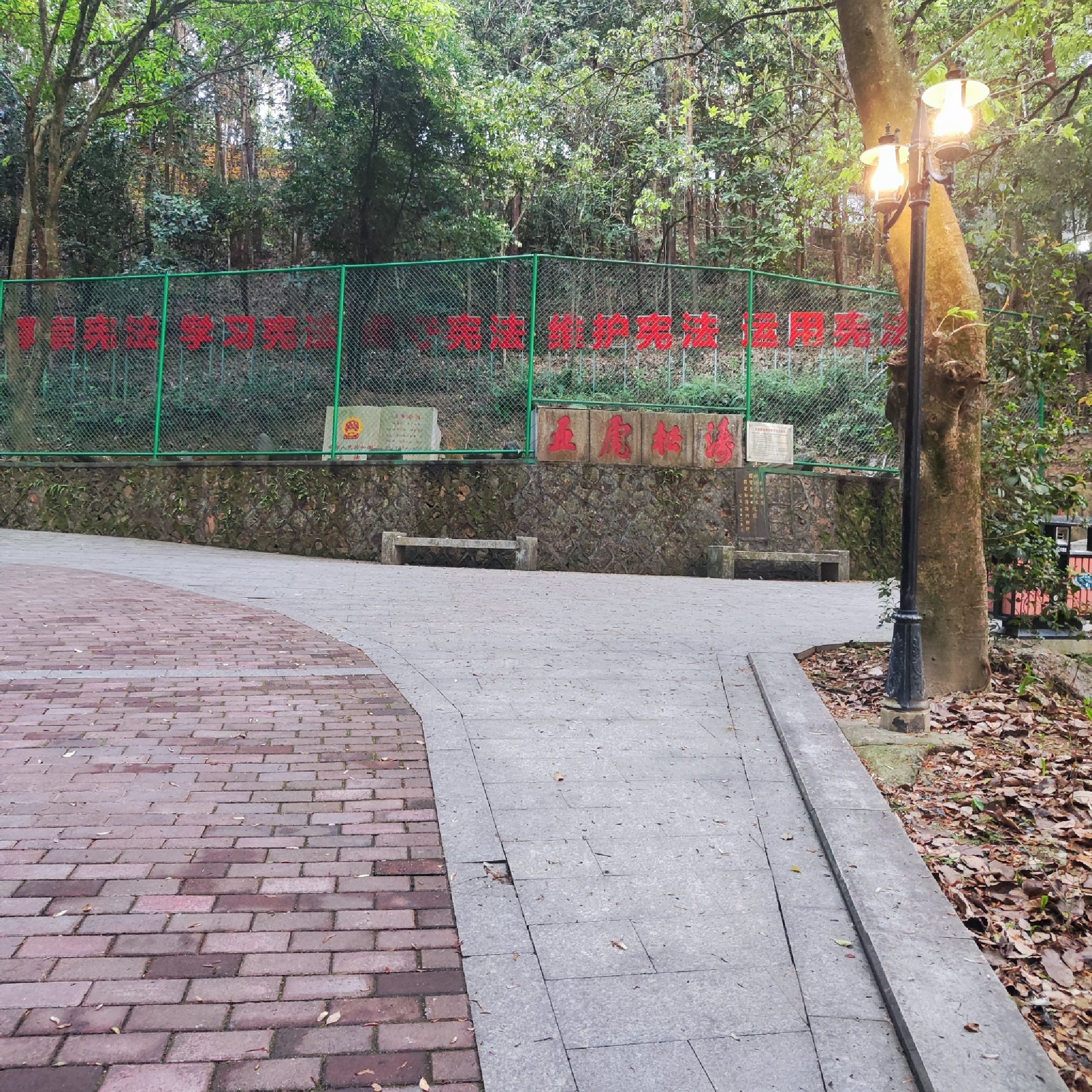 虎山公园旅行图片 1