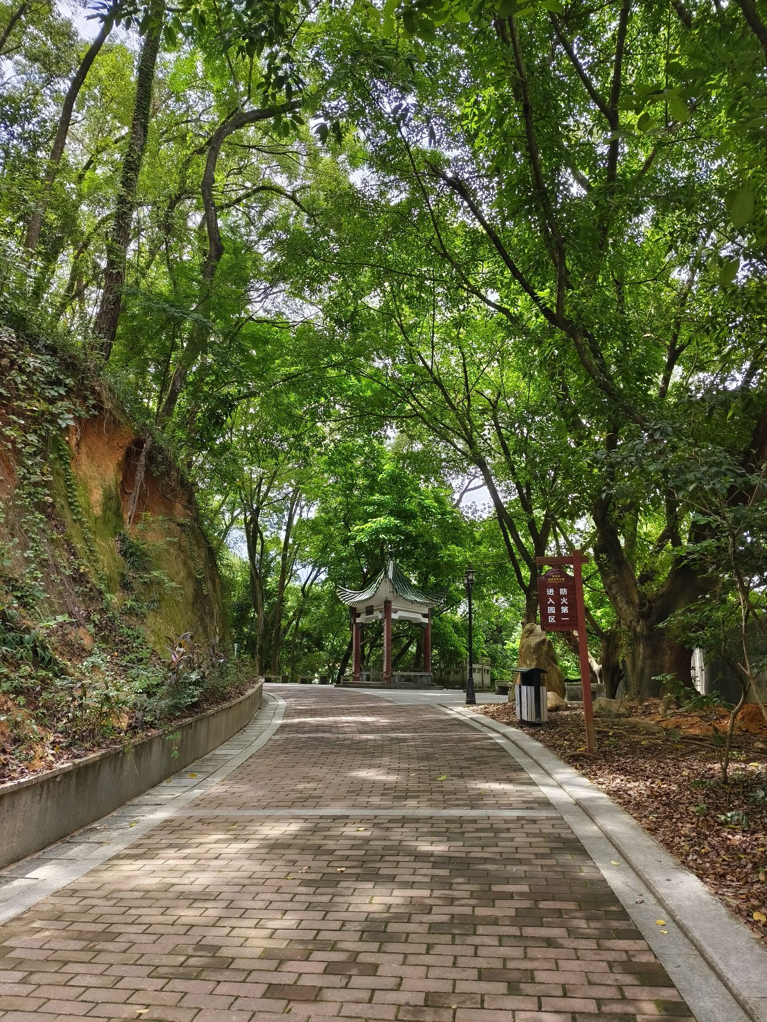 虎山公园旅行图片 2