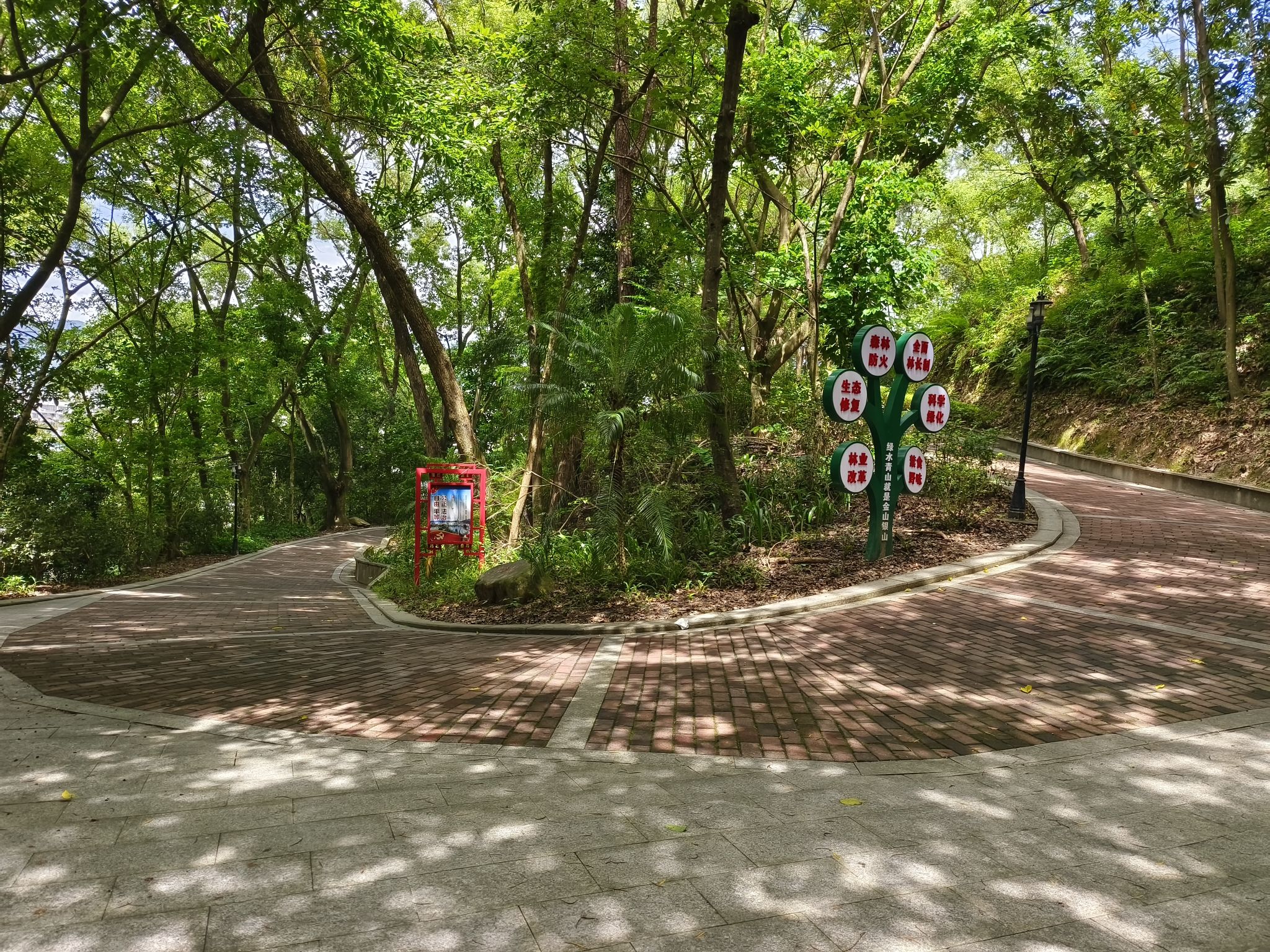 虎山公园旅行图片 3