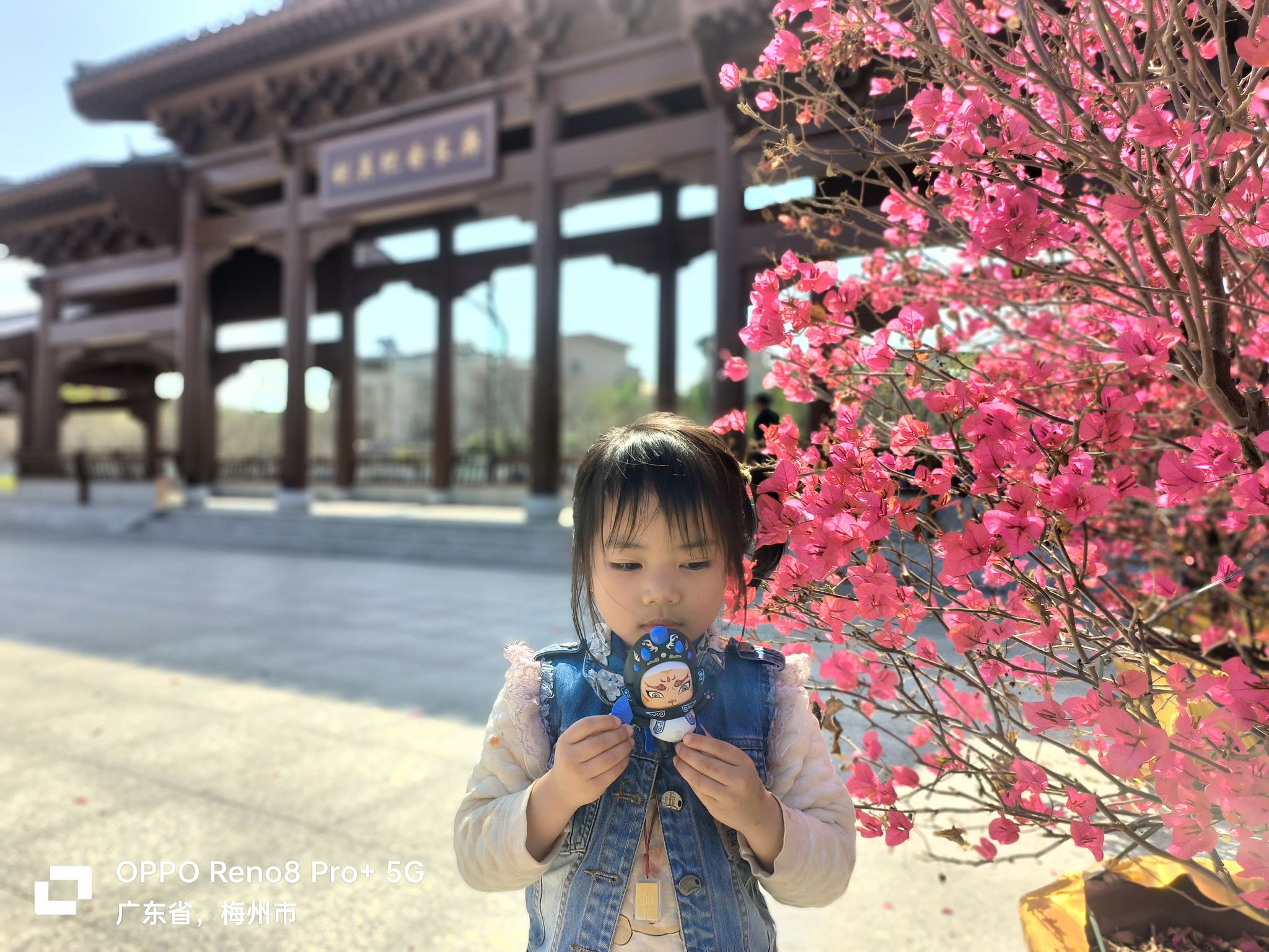 剑英公园旅行图片 2