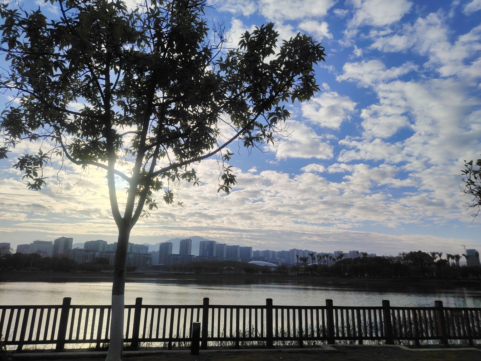 剑英公园旅行图片 2