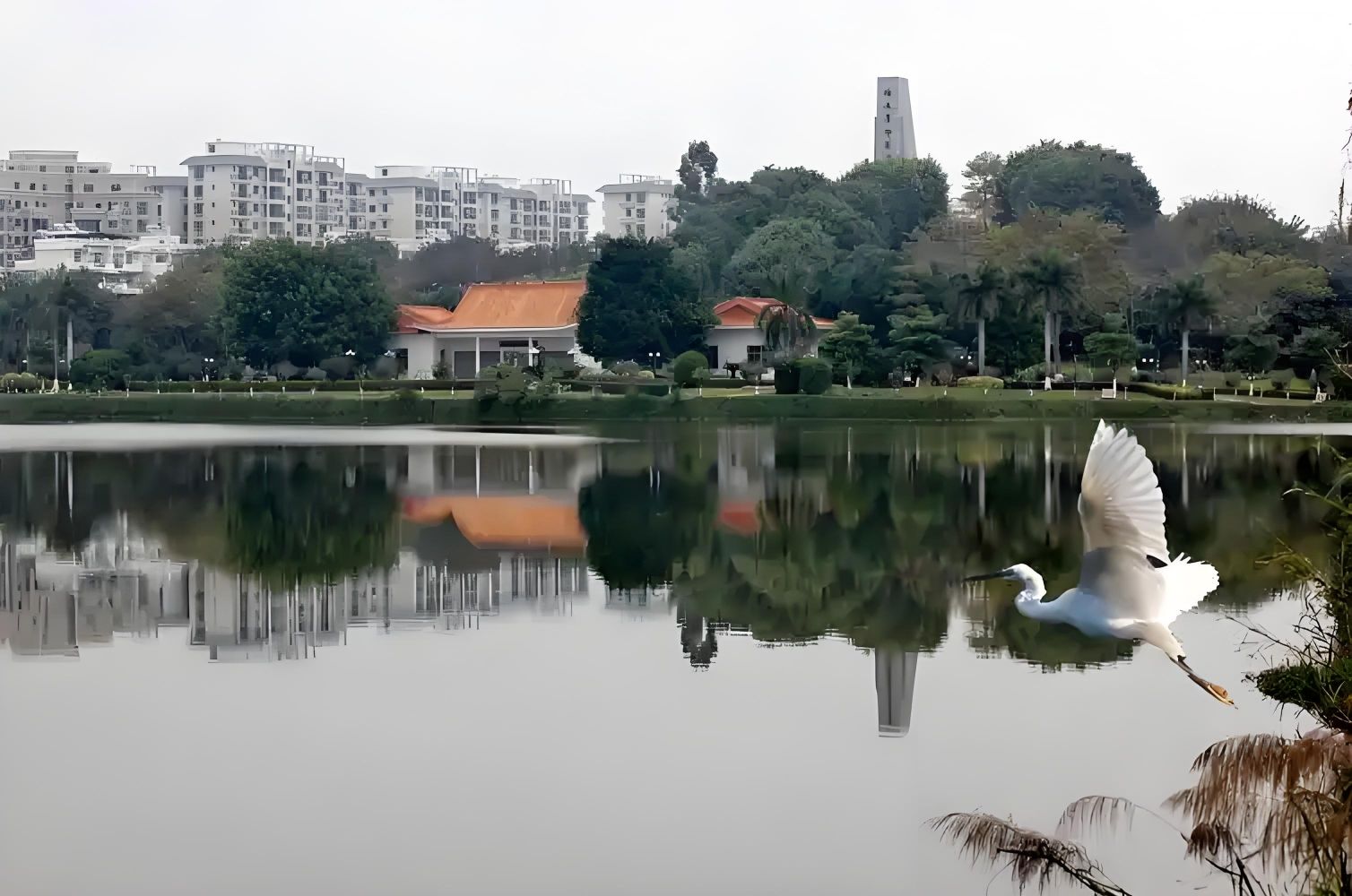 剑英公园旅行图片 2