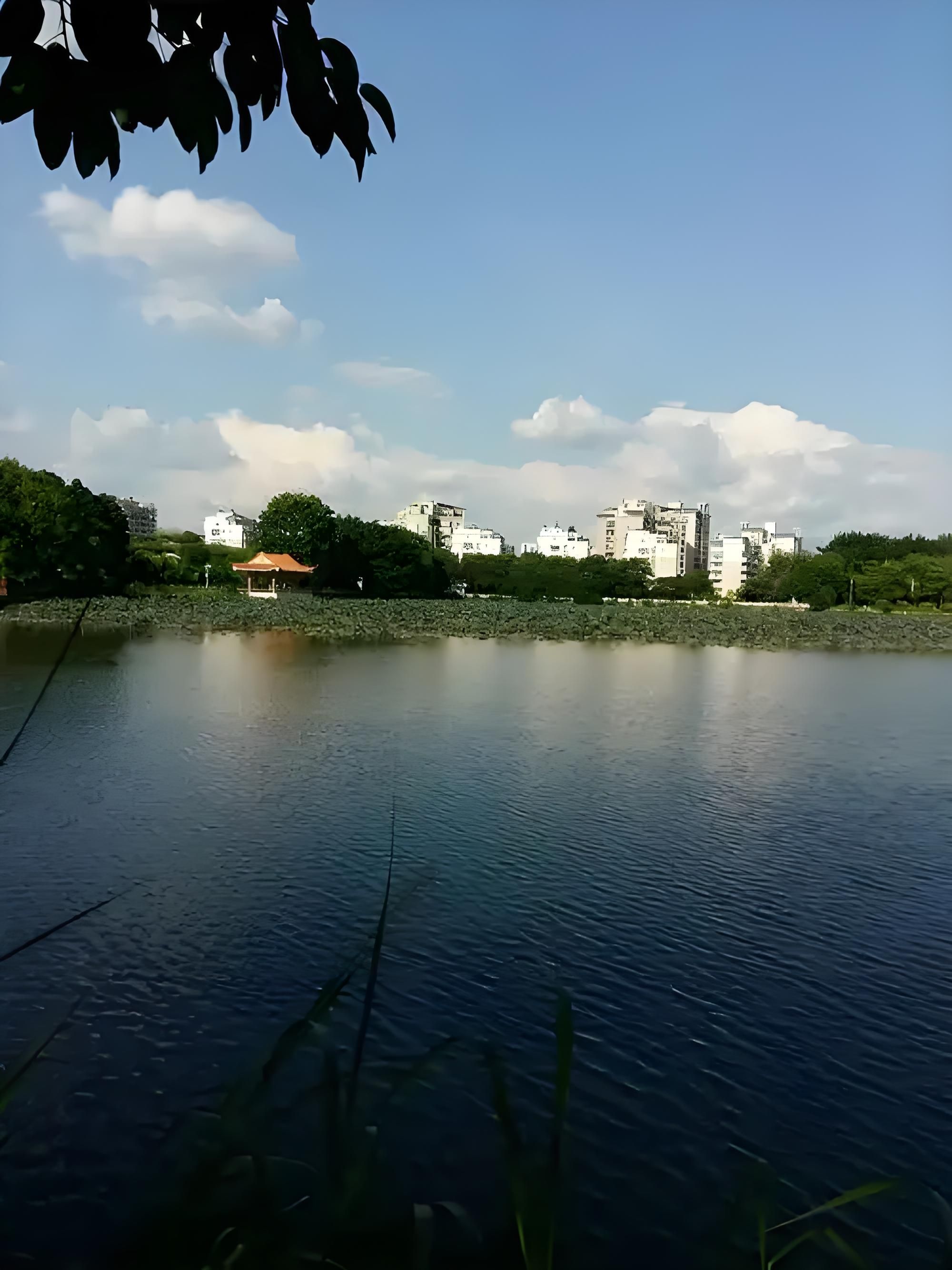 剑英公园旅行图片 3