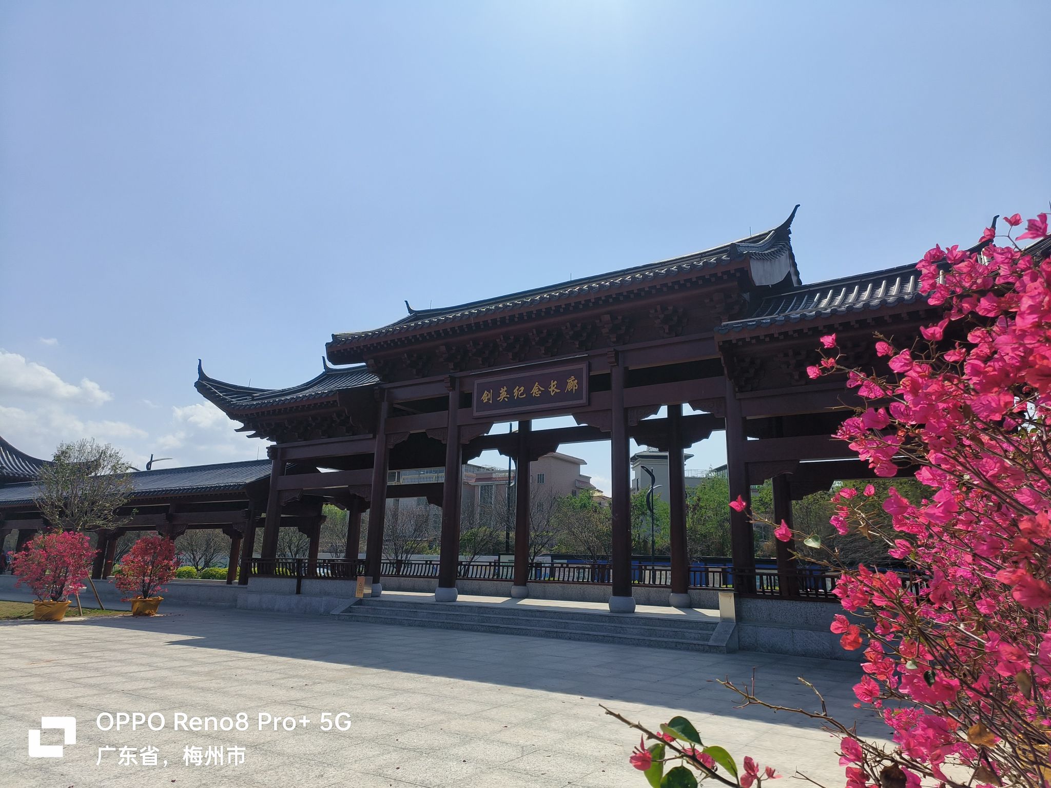 剑英公园旅行图片 1