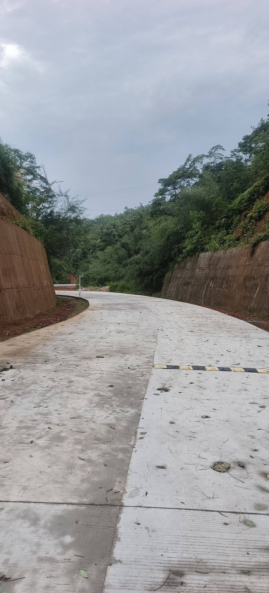 兴宁市黄蜂窝茶山旅游区旅行图片 2