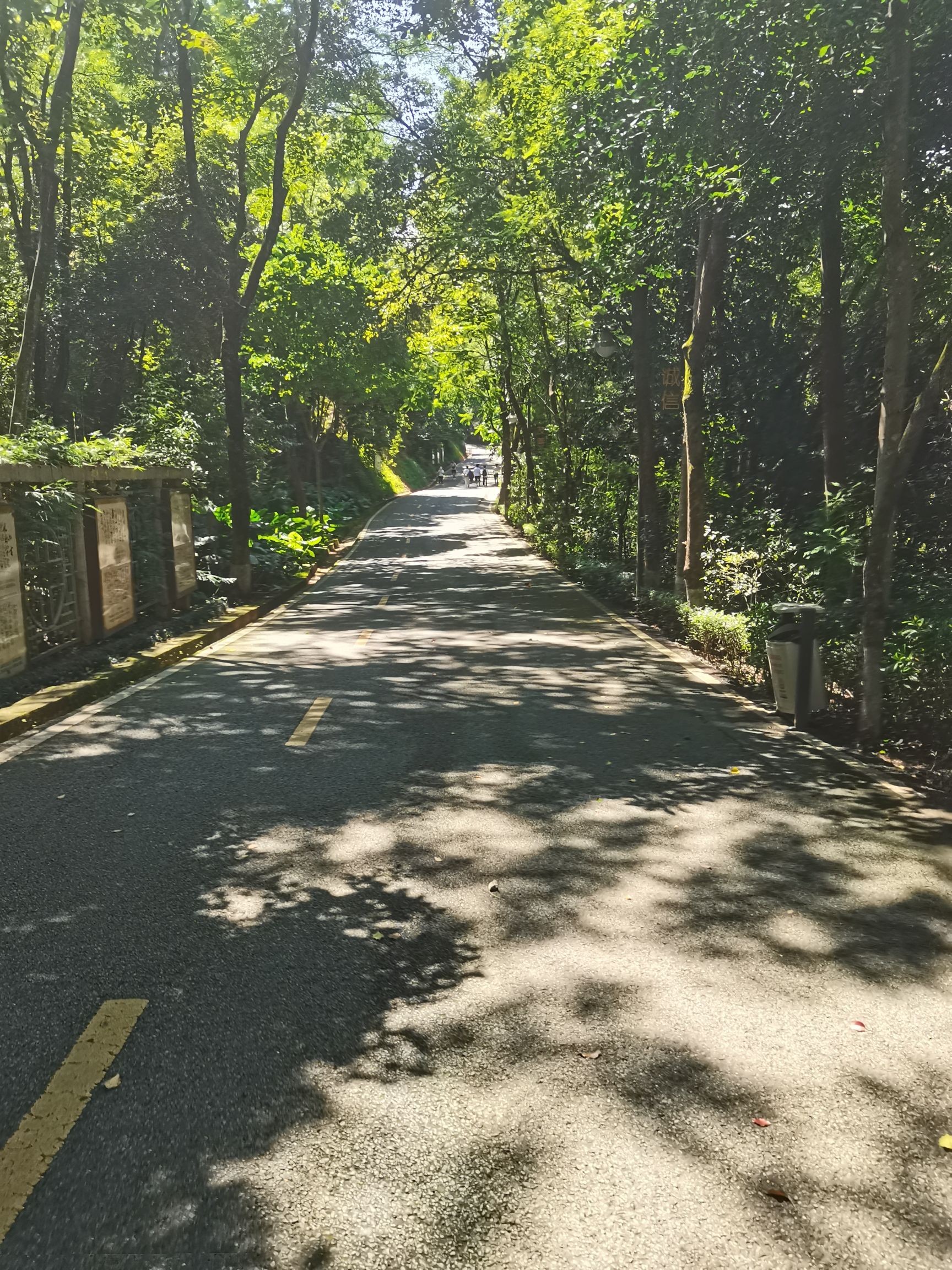 神光山国家森林公园旅行图片 2