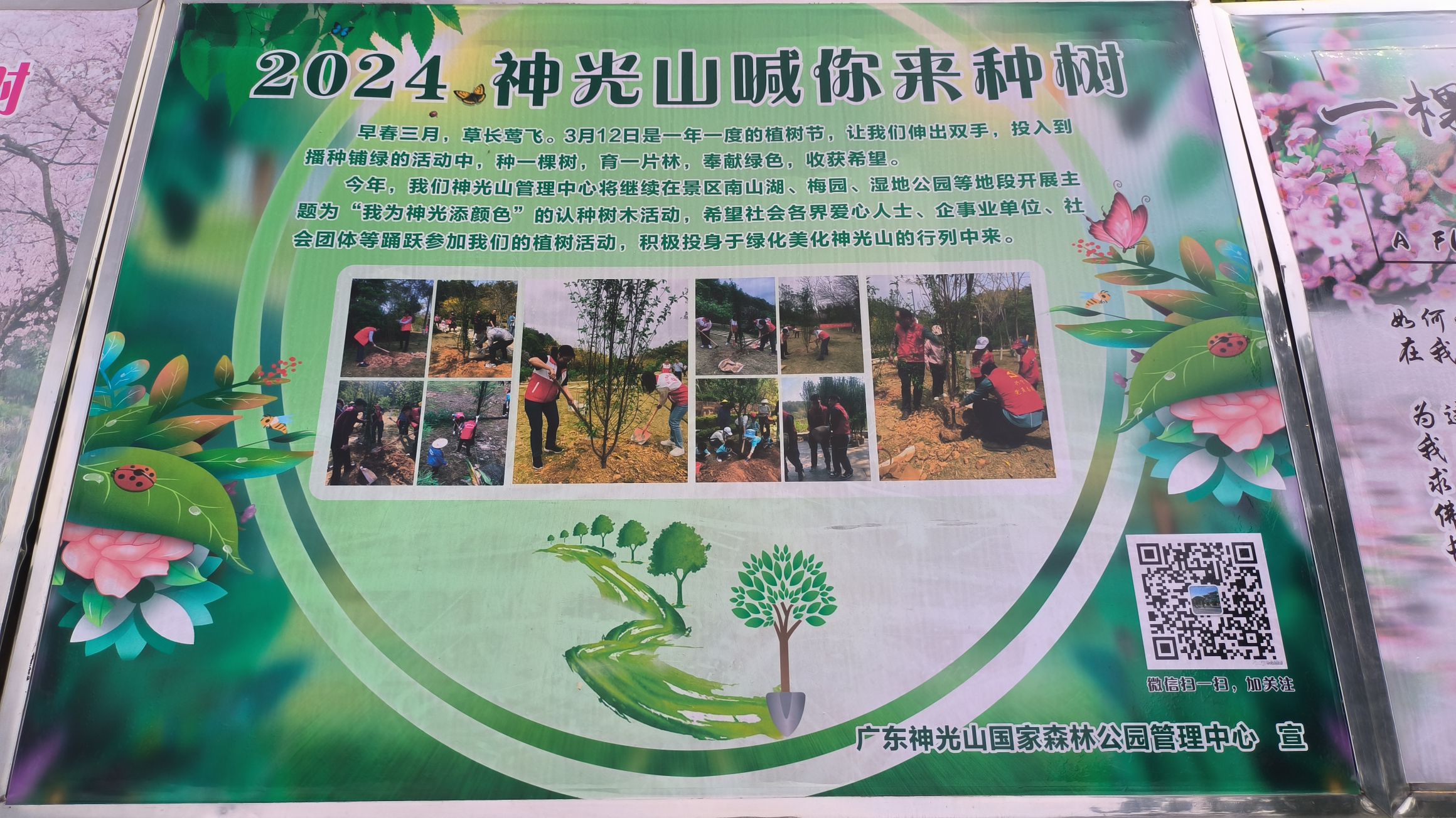神光山国家森林公园旅行图片 3