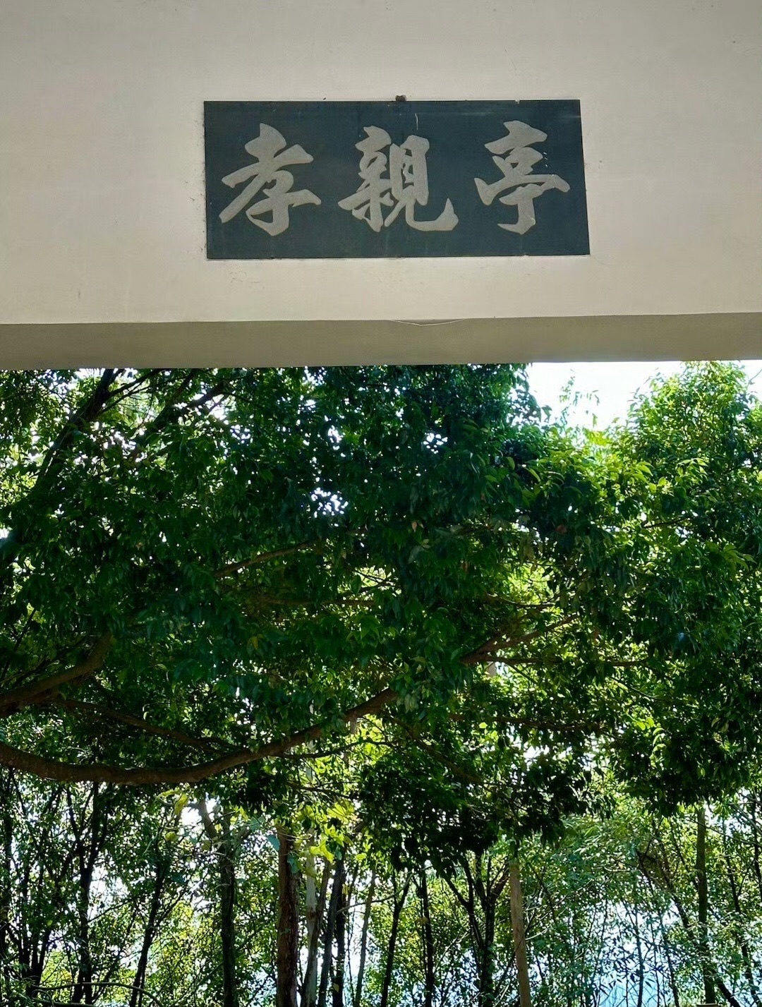 神光山国家森林公园旅行图片 2