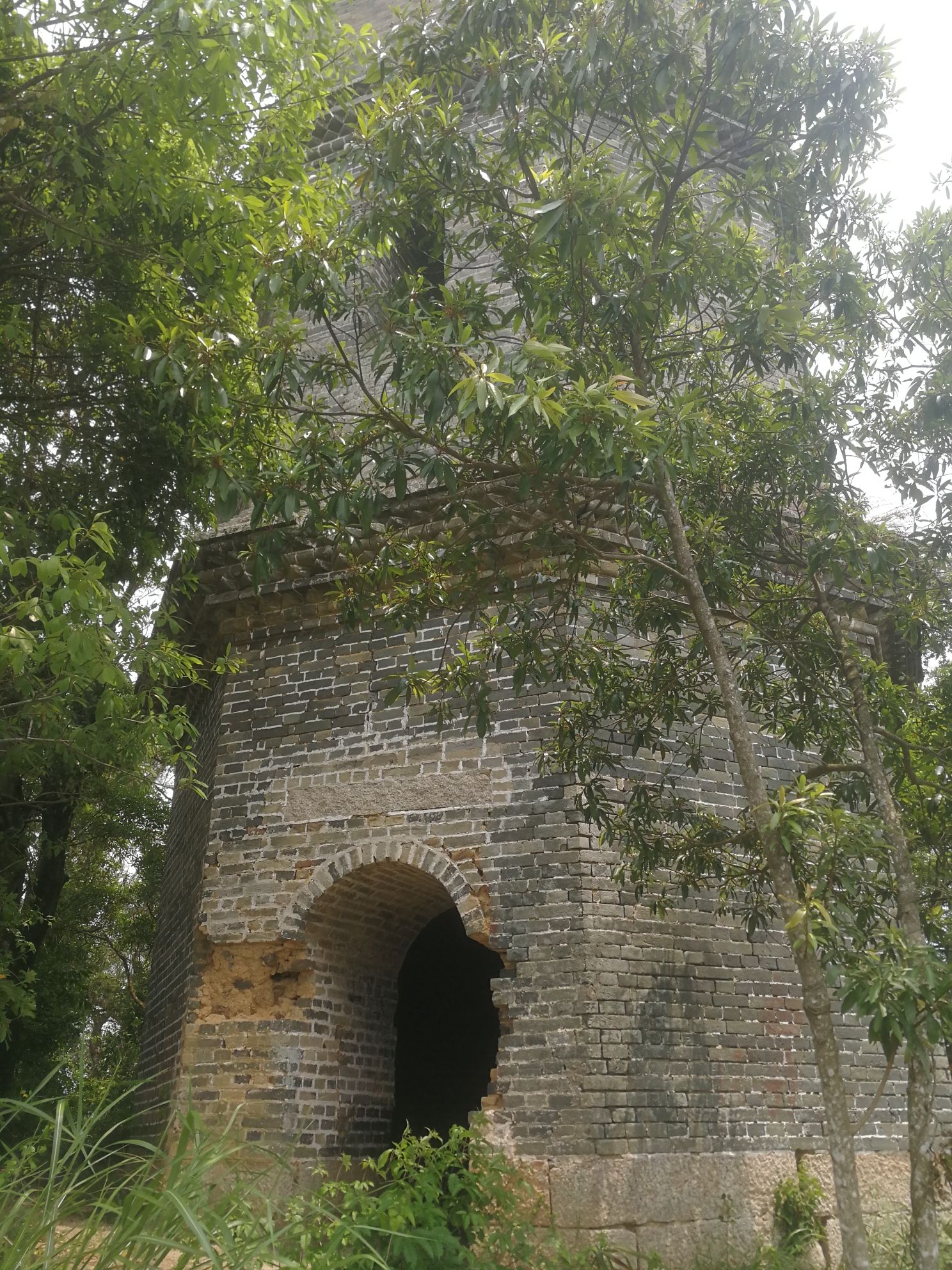 丰良斜塔旅行图片 3