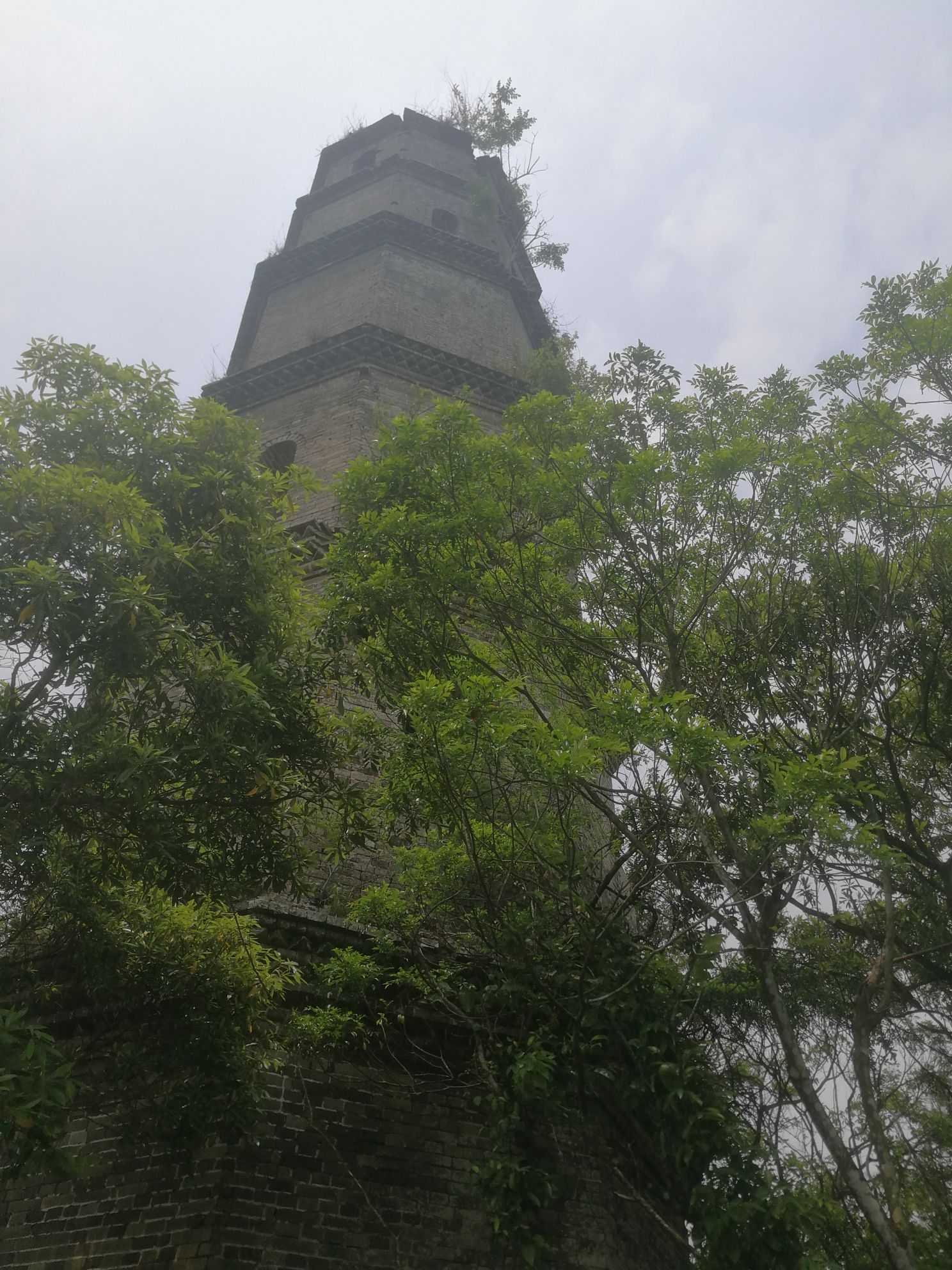 丰良斜塔旅行图片 1