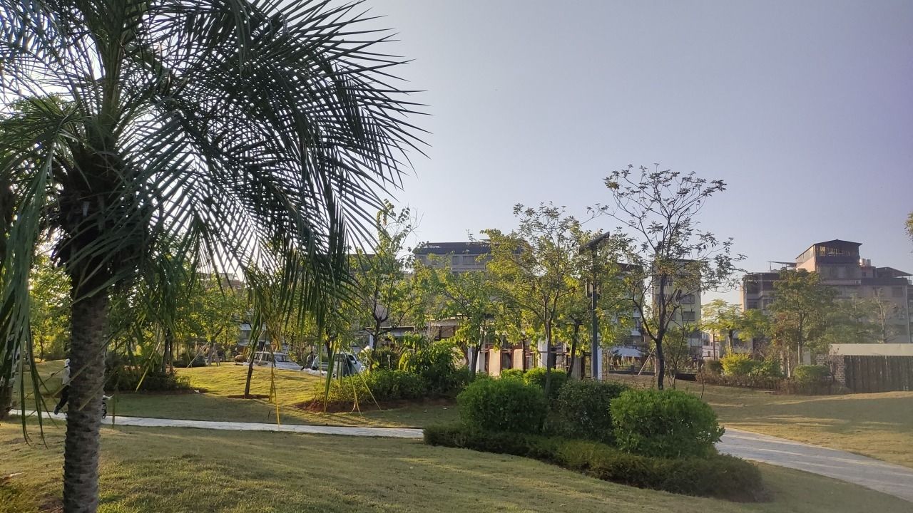 东湖公园的第1张图片的图片资料