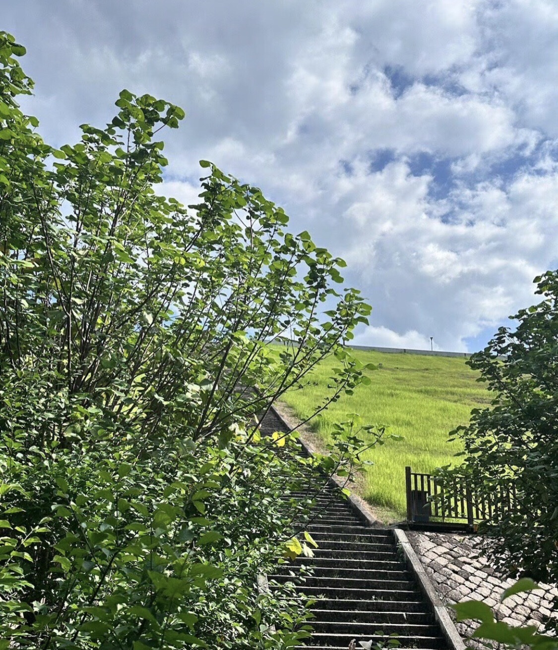 益塘旅游风景区旅行图片 3