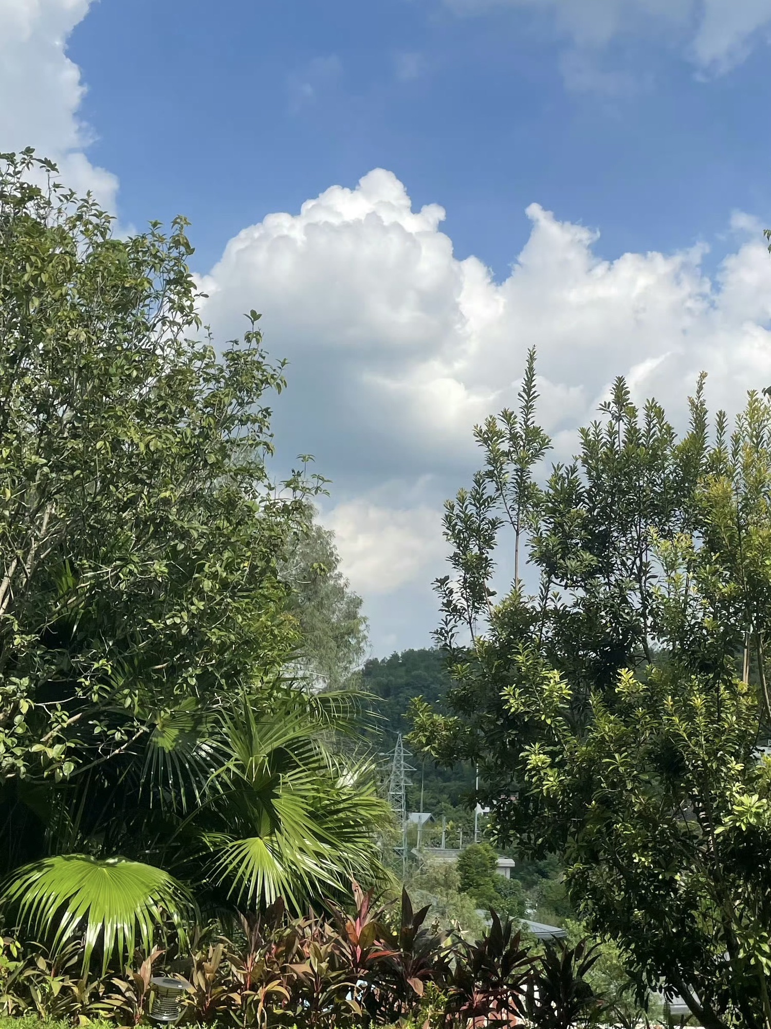 益塘旅游风景区旅行图片 3