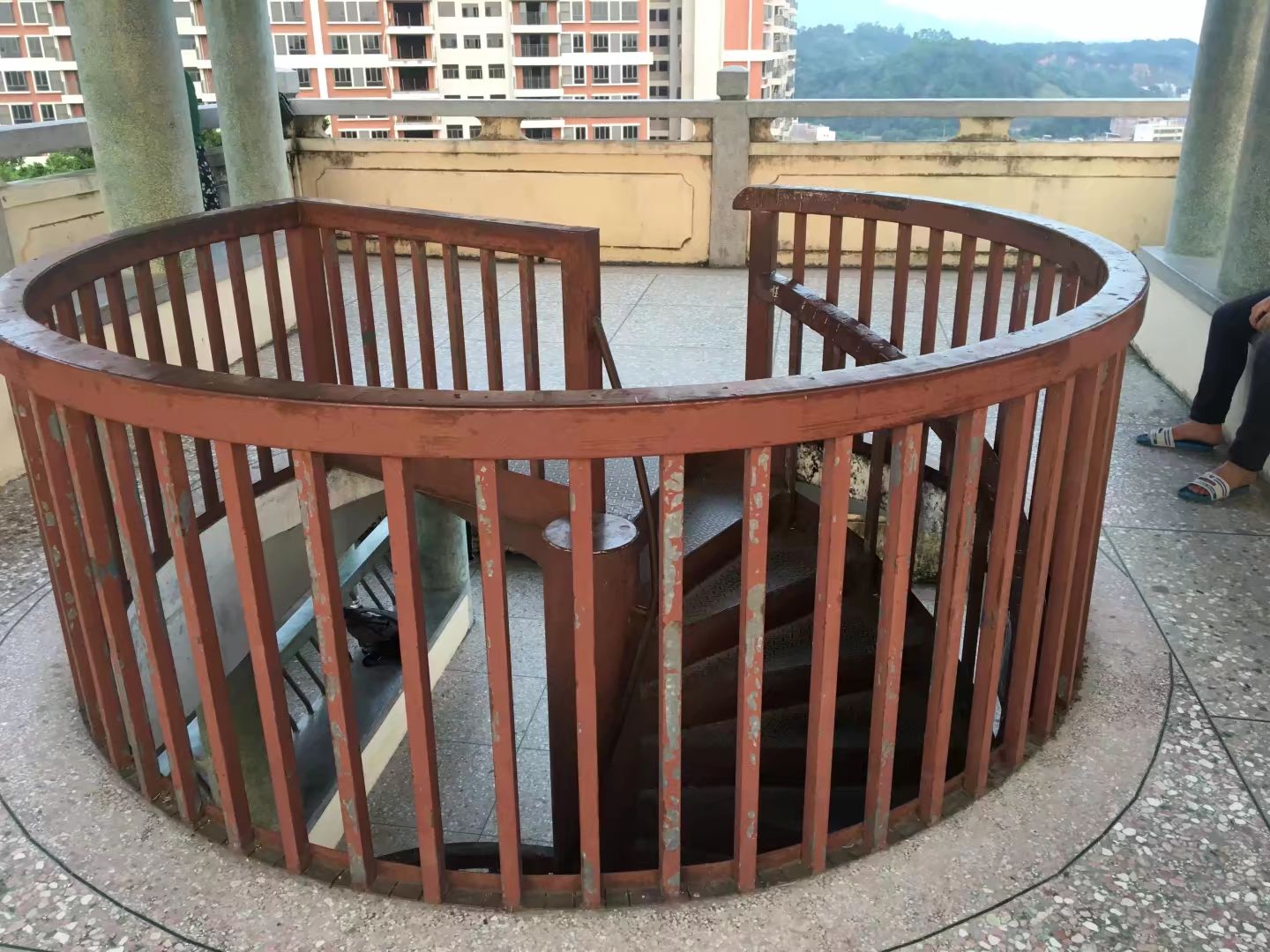坚真公园旅行图片 3